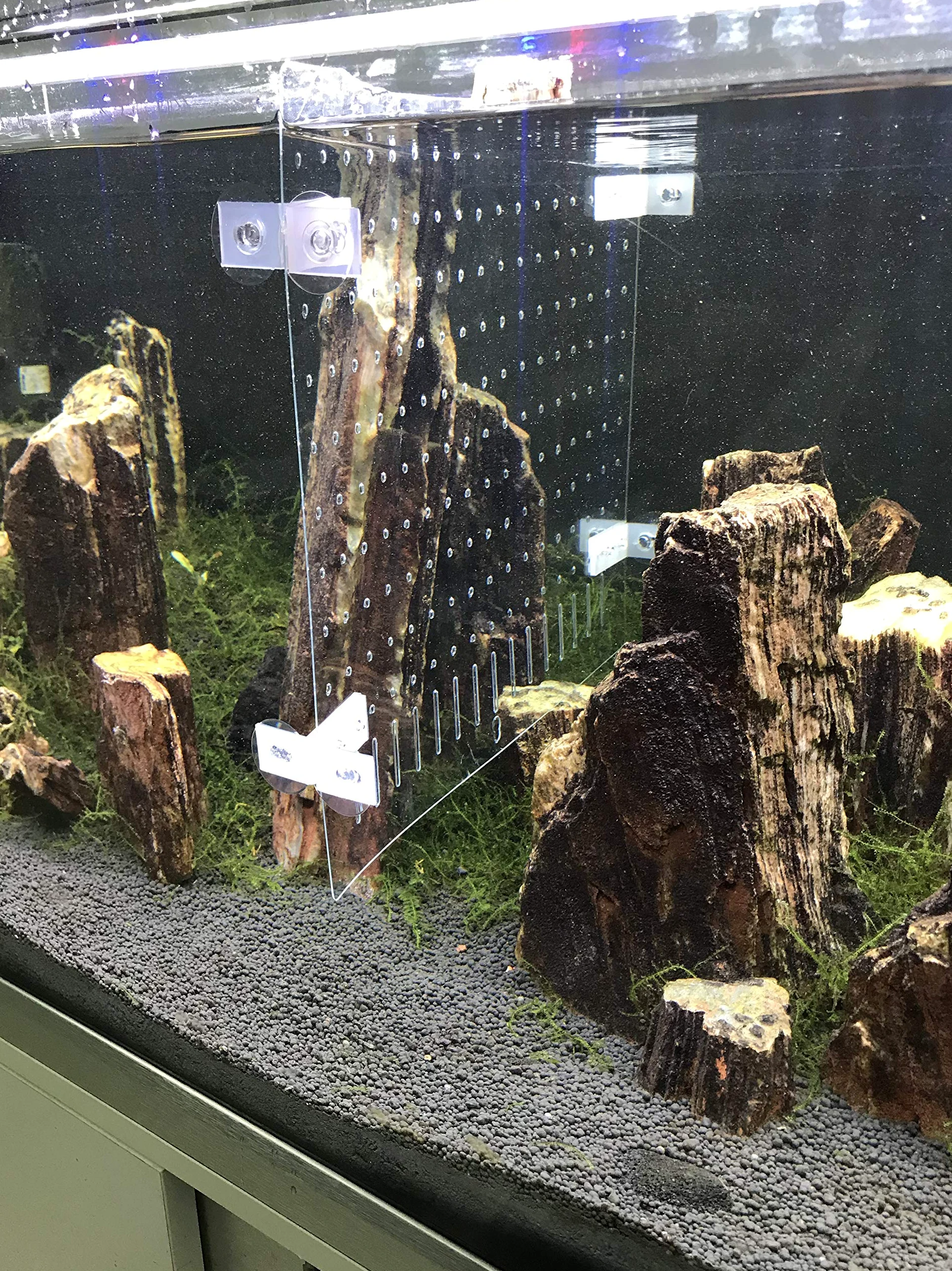 divisori per vasche divisori per acquari per coltivazione mista in PET/PETP Fish Tank Divider