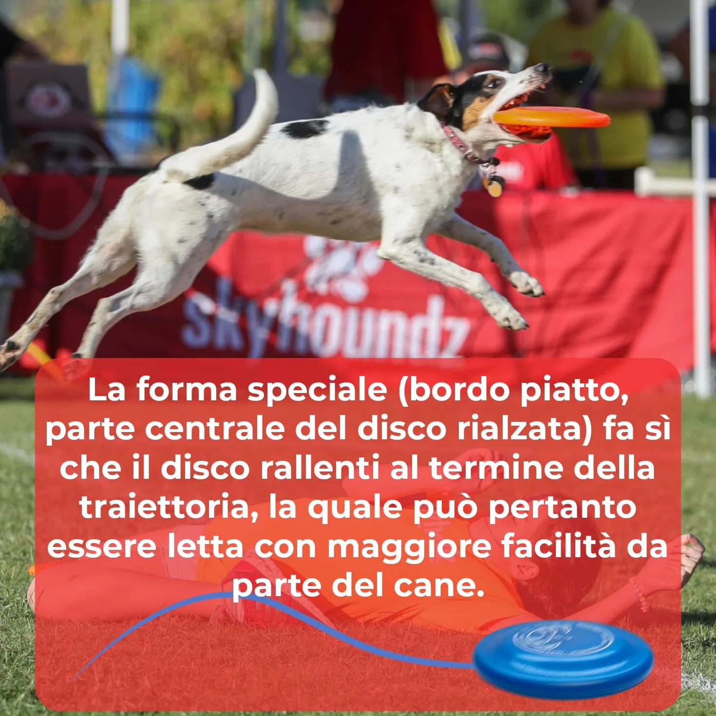 Hyperflite K10 Jawz Frisbee Resistente Morso per Cani per Discdogging - Blu