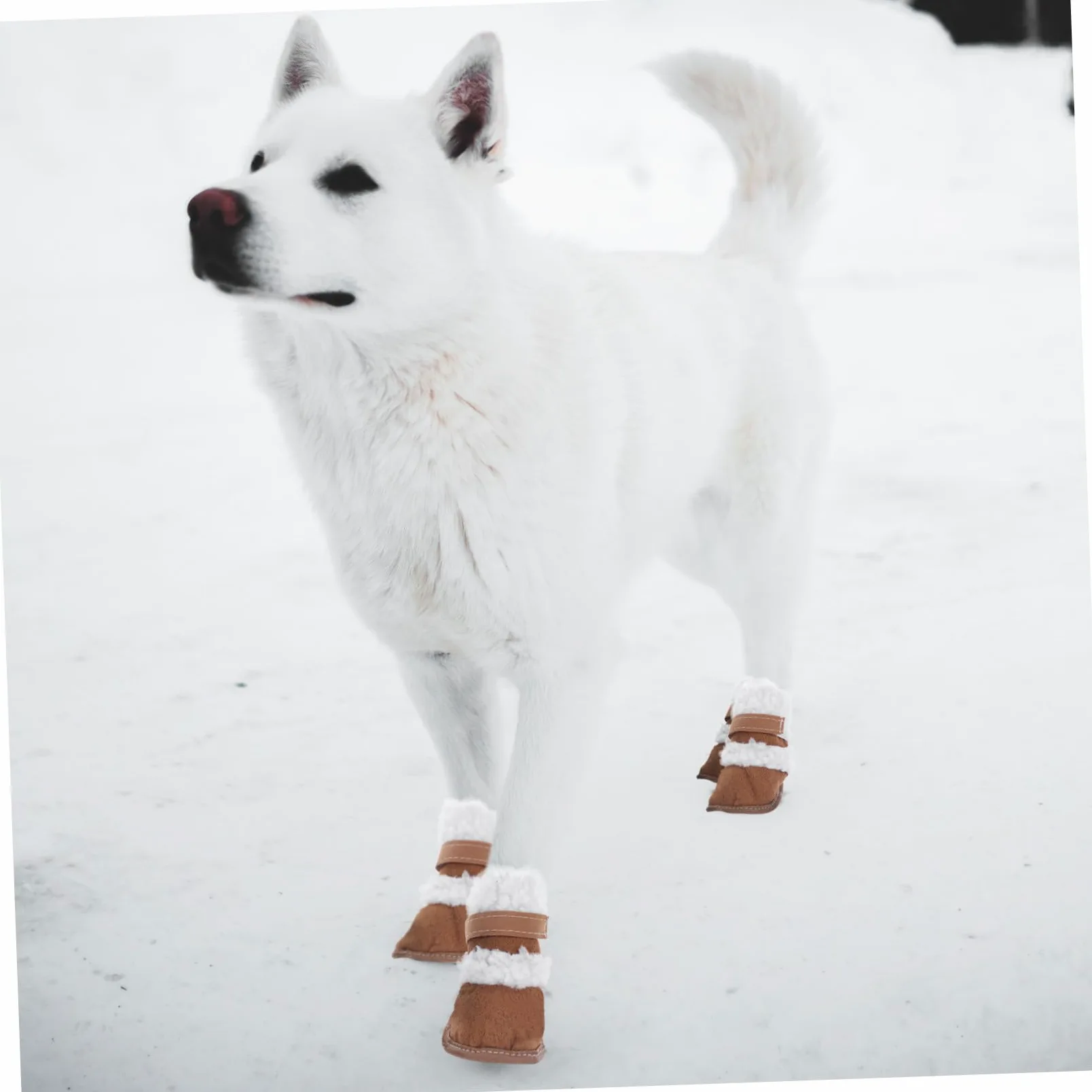 Housoutil 6paia Scarpe Antiscivolo per Cani Stivali Impermeabili e Caldi per Cuccioli per Inverno e attività all Aperto