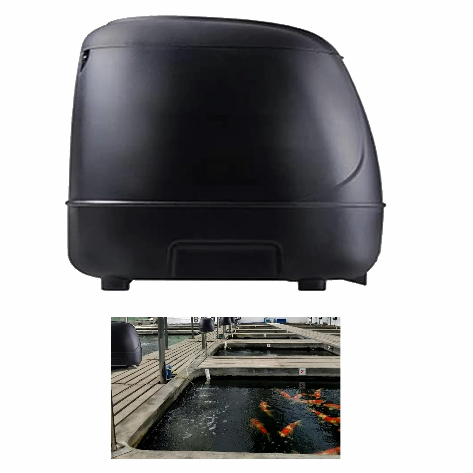 10L Pond Fish Feeder, Mangiatoia automatica laghetto, Distributore cibo per pesci per vacanze e clima caldo o freddo