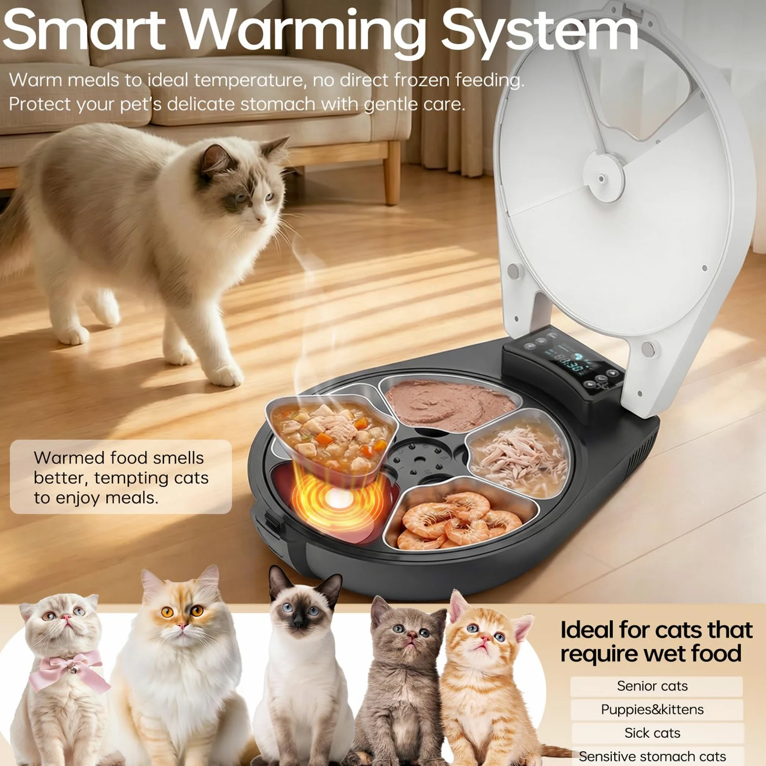 Distributore Automatico Cibo Gatti Umido, 5 Pasti Freschi in 3 Giorni, Raffredd. & Riscald. Semiconduttore Distributore Cibo Umido Gatti, Ciotola Inox 304, Dispenser Per Gatti Con Programmabile