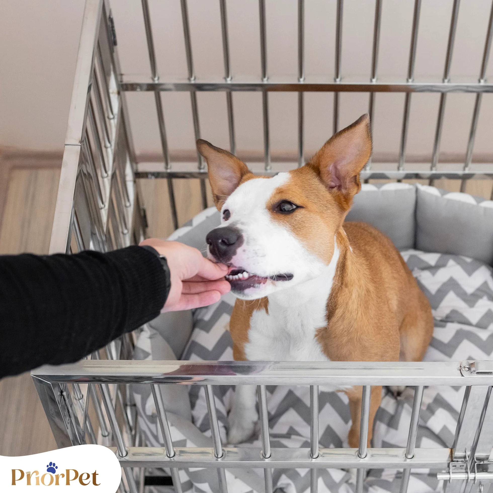 PRIORPET Solida Gabbia per Cani - Design Pieghevole e Facile da Montare per Un Agevole Trasporto - Doppia Serratura per Una Maggiore Sicurezza - Vassoio Rimovibile per Una Rapida Pulizia