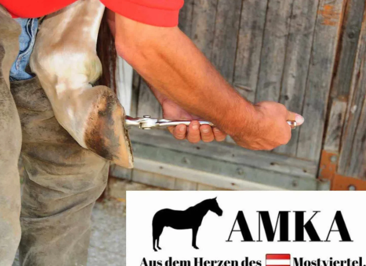 AMKA Set di 9 attrezzi per la cura degli zoccoli