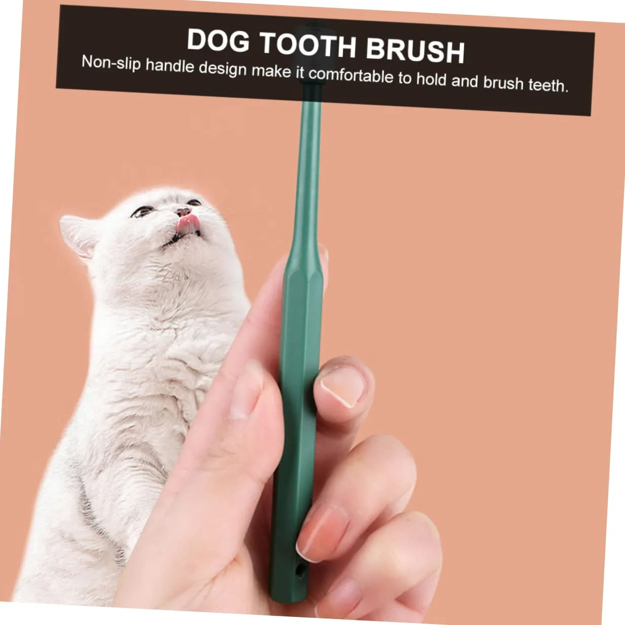 BESPORTBLE 12pezzi Spazzolini Per Cani e Gatti Spazzolino Da Denti Plastica Con Setole Morbide Pulizia Orale Per Animali Domestici Manico Ergonomico e Antiscivolo Confezione Da Verdi