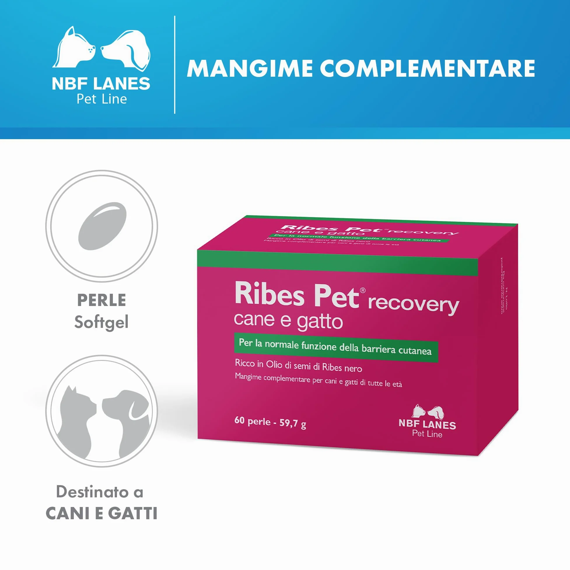 NBF Lanes | Ribes Pet Recovery Cane e Gatto, 60 Perle Appetibili, per la Normale Funzione della Barriera Cutanea
