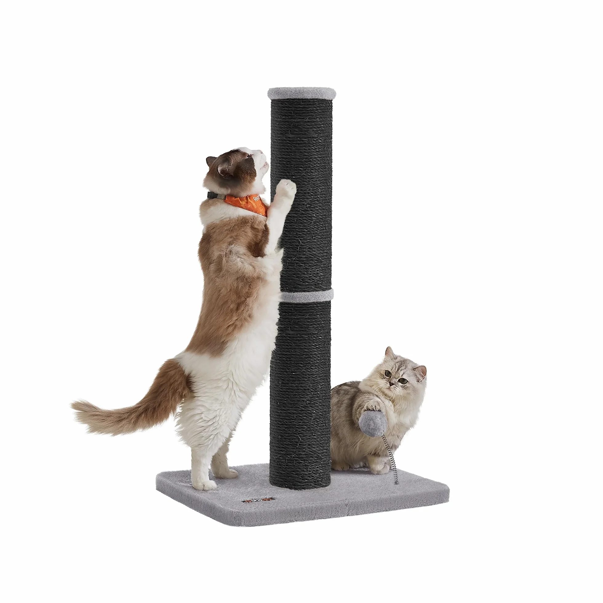 Feandrea Tiragraffi per gatti, alto 85 cm, per gatti di taglia media e grande, deterrente per mobili in sisal, pompon a molla con campana integrata, nero inchiostro PCA041B01