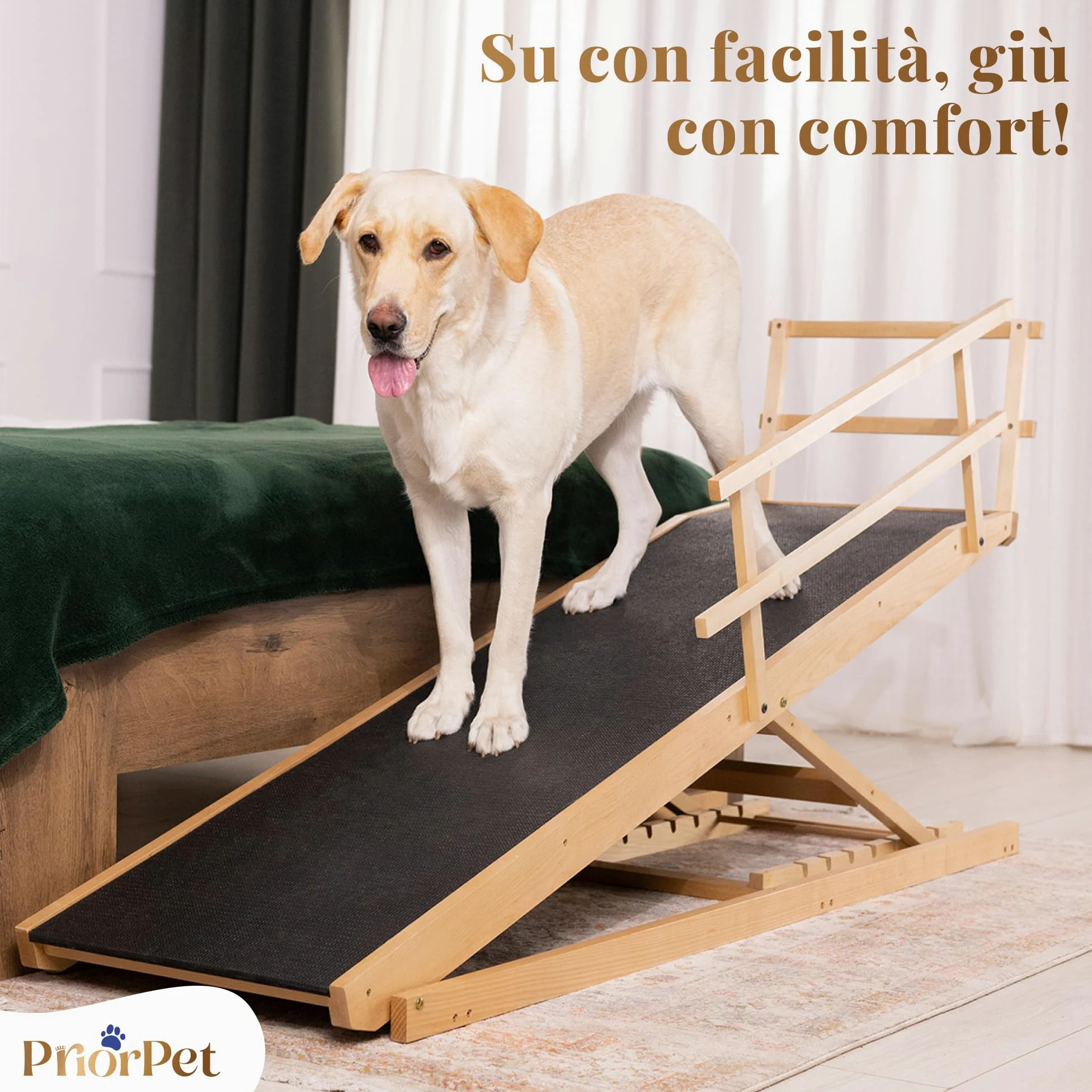 Lettiera Acciaio Inox – Inodore e Antiaderente – La Cassetta Gatto Inox XXL – Capacità 38L – Lettiere in acciaio per gatti – Con Paletta e Tappetino per Lettiera – 60 × 40 × 32 cm