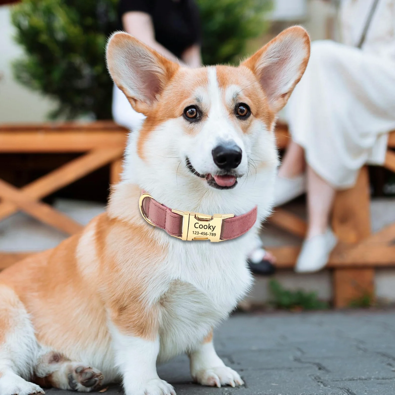 Collare per cani in velluto, personalizzato con nome, collare per cani personalizzabile con fibbia in metallo a sgancio rapido, guinzaglio e papillon disponibili (acqua di rosa, S)