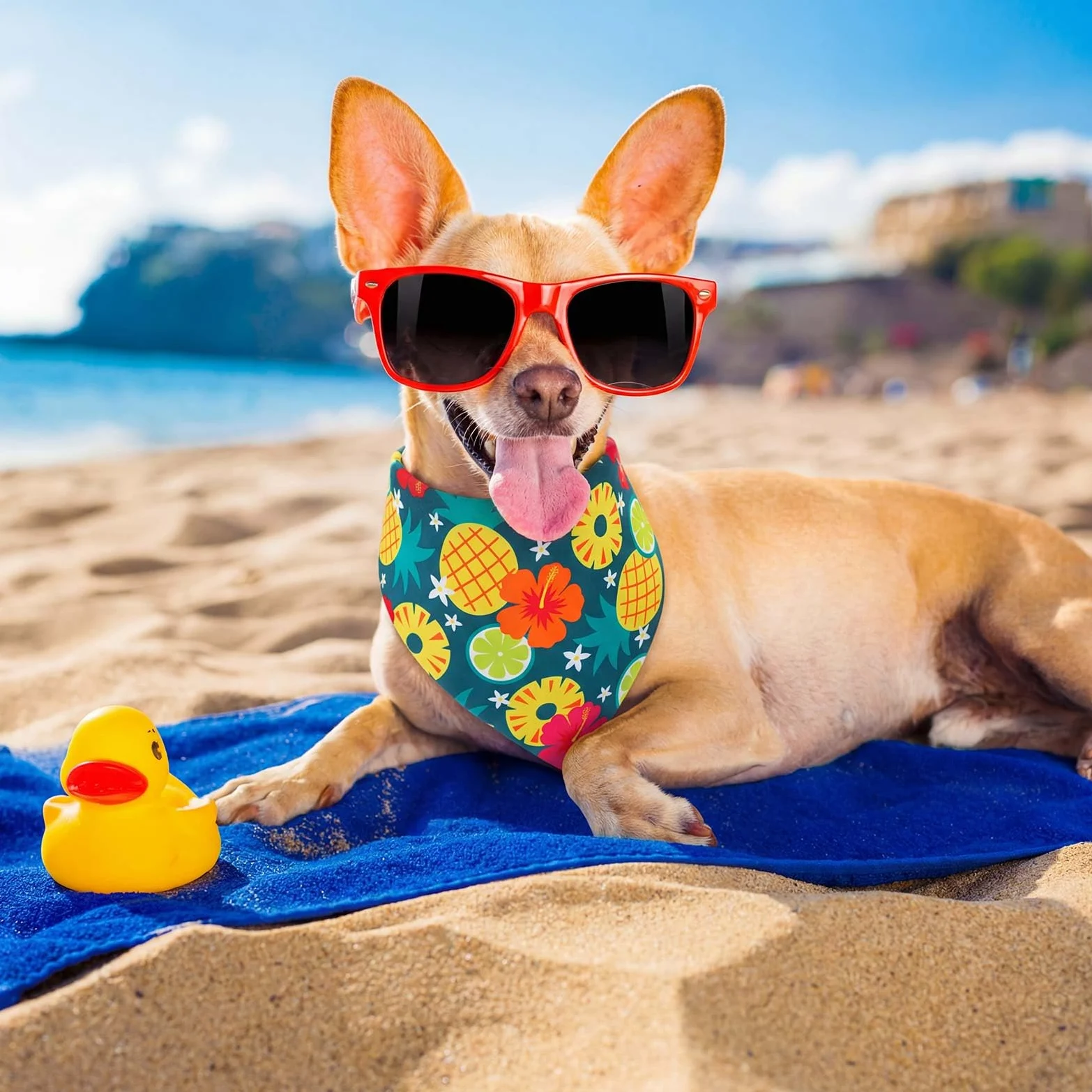 Aliceset 240 bandane estive per cani hawaiane sfuse frutta tropicale Aloha modello colorato fazzoletto per cani bavaglini triangolari sciarpa per animali domestici regali morbidi accessori per costumi