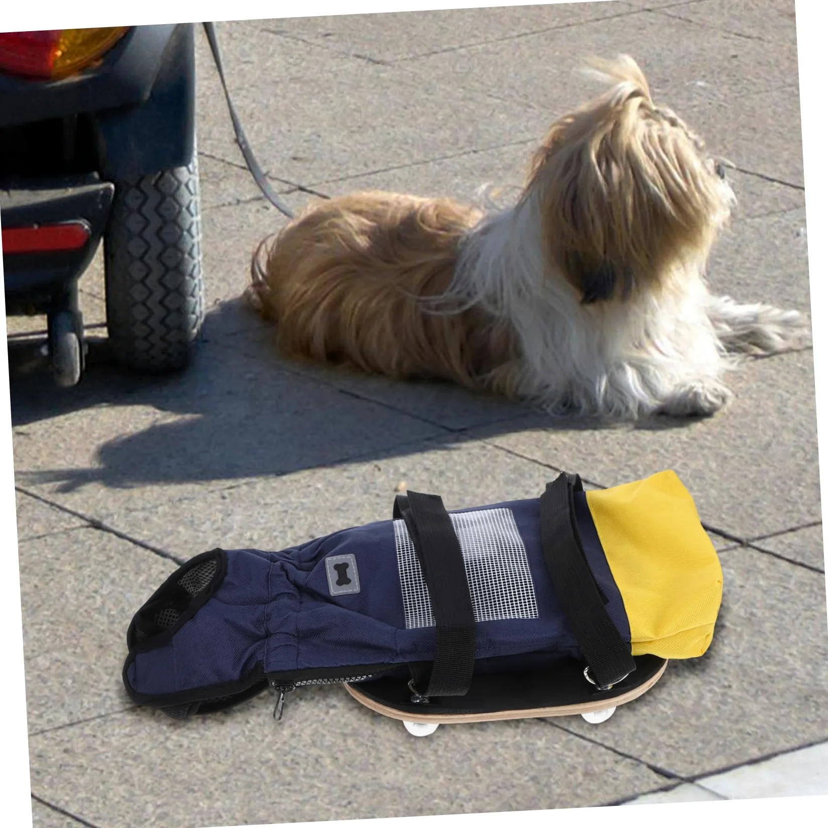 Carrellino con Ruote per Cani Disabili con Supporto per Zampe Posteriori, Realizzato in Poliestere e Legno, Portatile, per Uso Interno ed Esterno