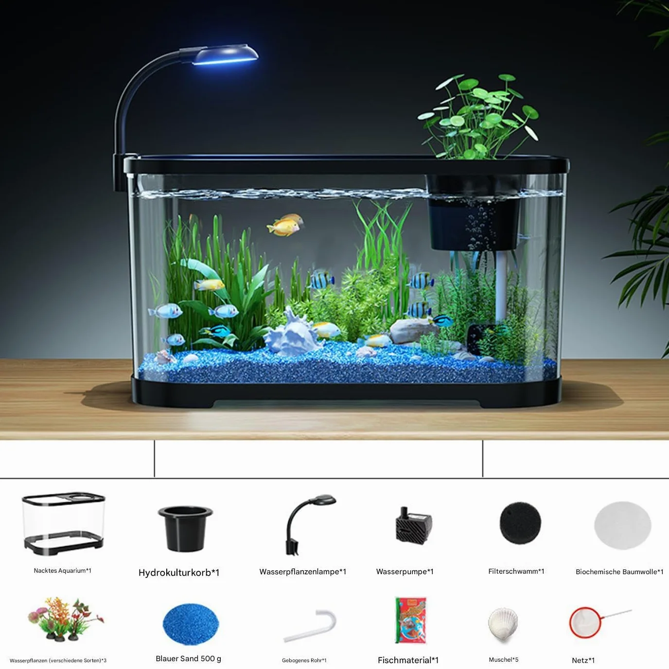 Set iniziale compatto per acquario, pesce rosso, set per principianti | Acquario silenzioso, vasca da scrivania decorativa per pesci da combattimento, rana e abitanti acquatici