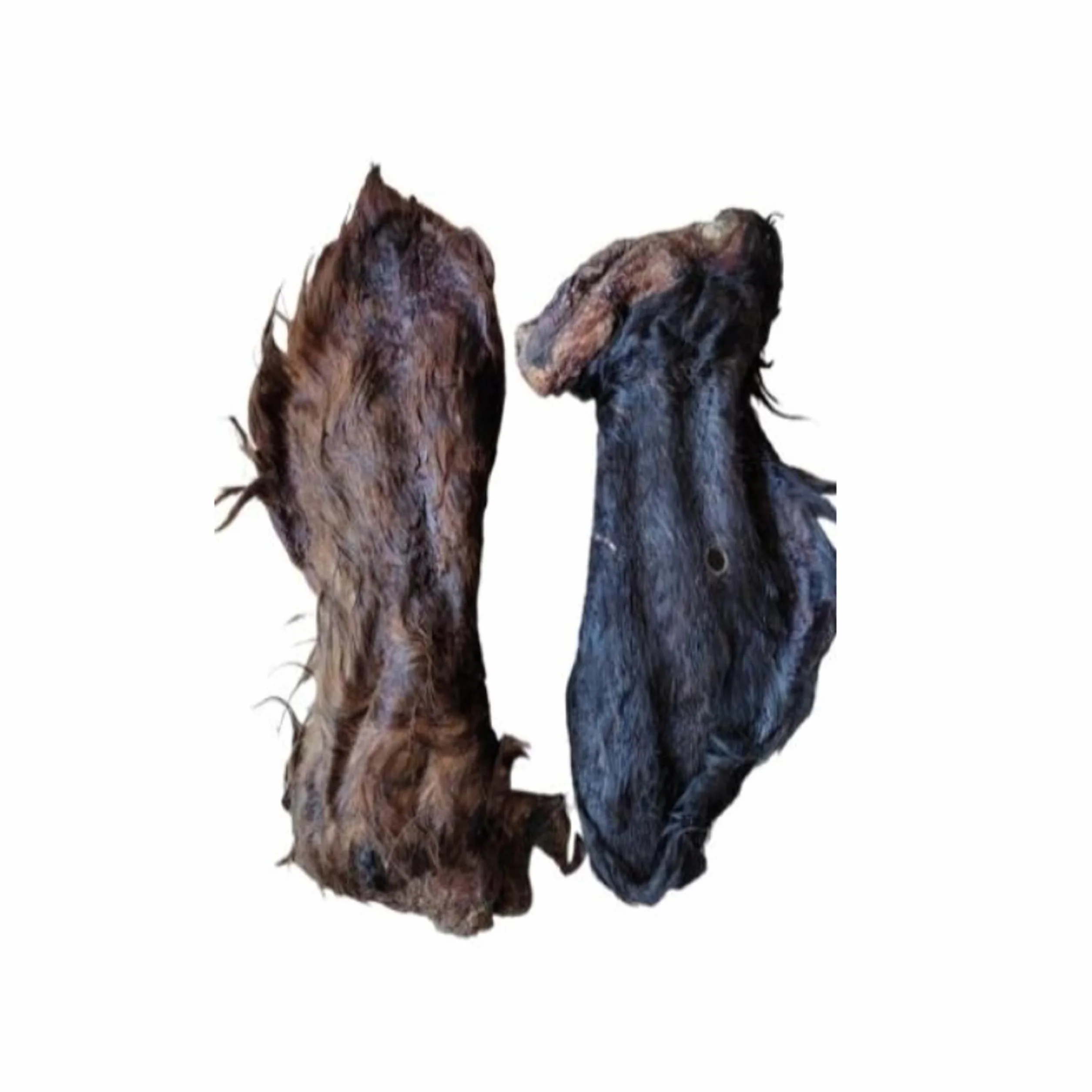 Premium - Orecchie di bovino per cani – XXL – orecchie di manzo con pelliccia – orecchie di bovino come cuoio capelluto di bovino – articolo da masticare – Lucze Premium per cani (20 pezzi)