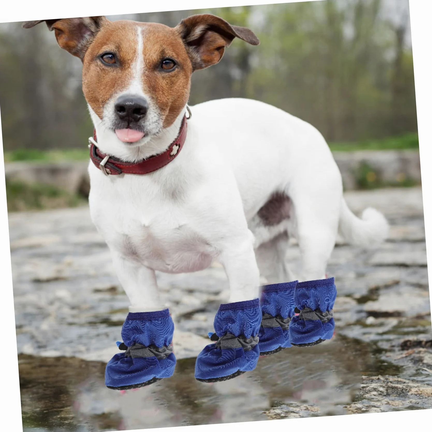 SUPVOX 9 Set Stivali per Cani da Compagnia Puppy pupphub Calzini Invernali per Animali Domestici Scarpe da Cucciolo Resistenti all'Acqua Stivali da Pioggia Scarpe per Animali Domestici