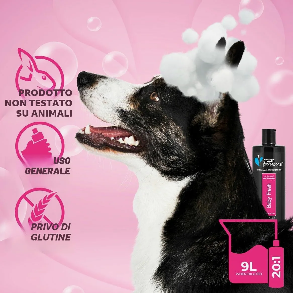 Groom Professional Baby Fresh Dog Shampoo (4 L) – Salon Size 20 : 1 Concentrate, Gentle Aloe Vera Formula, Deep Cleaning for Puppies or Sensitive Skin, Fresh Baby Powder Scent, Made in UK