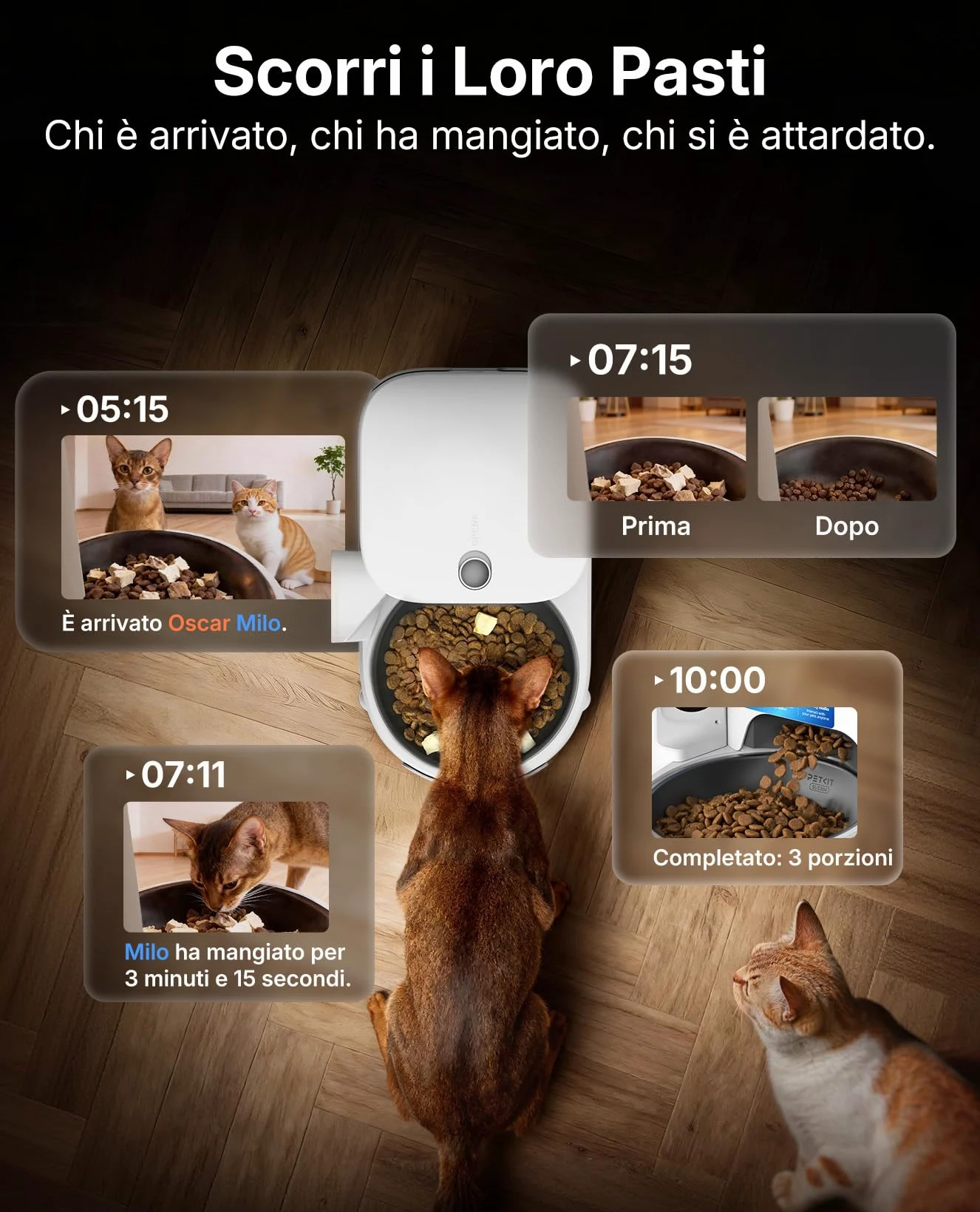 PETKIT YumShare Solo 2 Distributore Automatico di Cibo per Gatti con Telecamera HD 1080p, Riconoscimento Multiplo Gatti, Funzioni AI, Wi-Fi 2.4/5 GHz, Capacità 3L, Ciotola in Acciaio Inossidabile