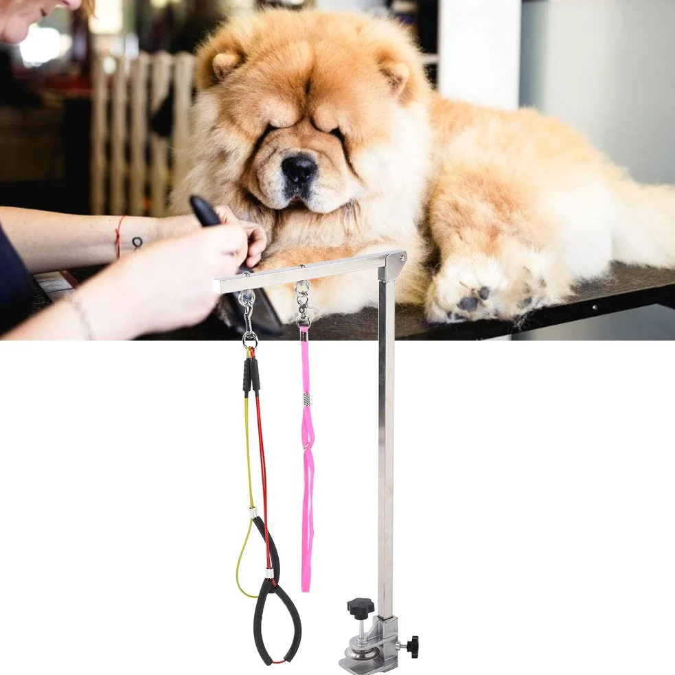 Braccio per toelettatura cani pieghevole resistente per cani, in acciaio inox, con morsetto e cappio