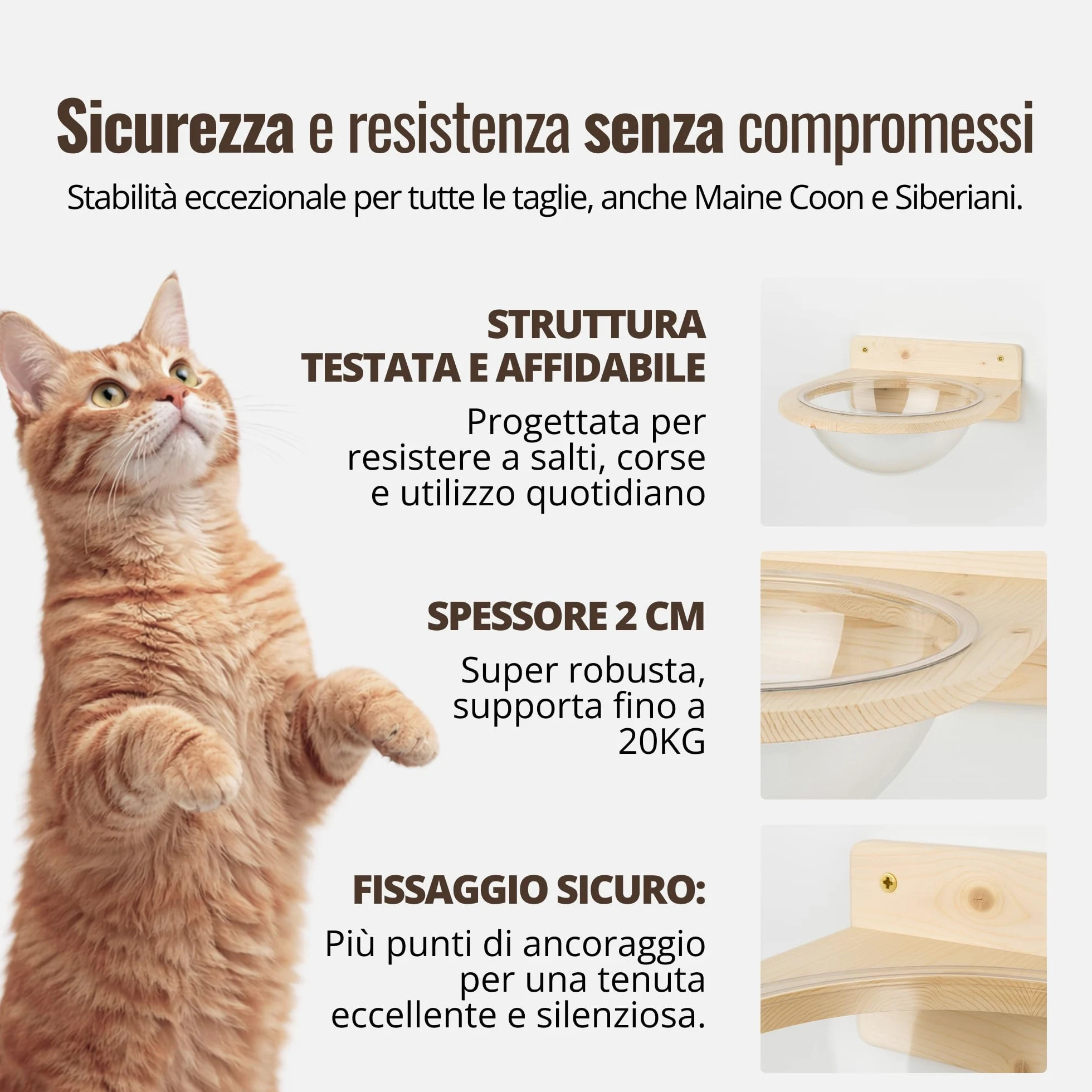 Cuccia Plexy per Gatti in Legno d'Abete PEFC Artigianale, con Cupola trasparente in plexiglass, Mensola per Gatti Super Robusta per Arrampicata, Gioco e Relax, Fino a 20 kg – Percorsopergatti
