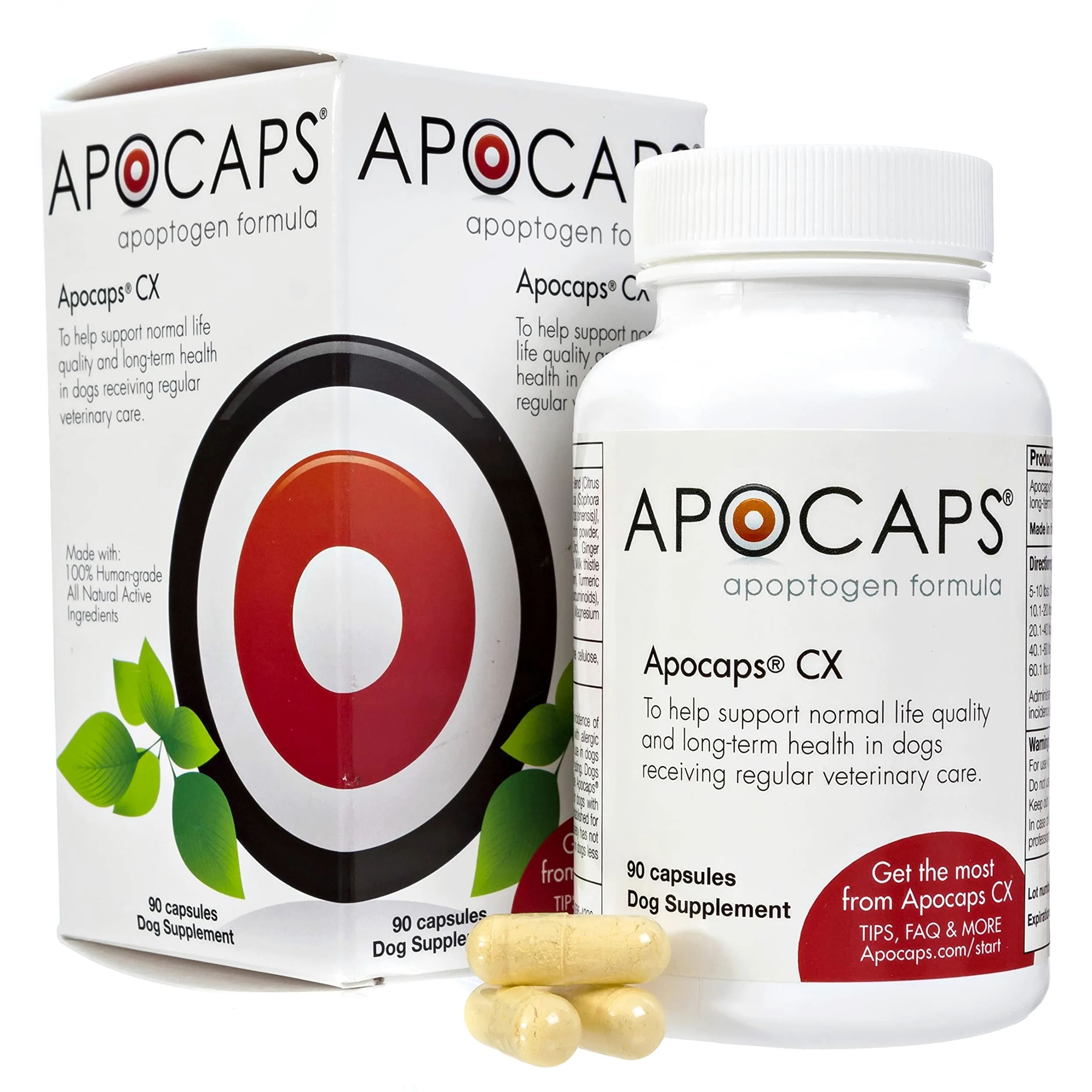 Apocaps CX formula con apoptogeni per cani (90 capsule) – sostiene i normali livelli di apoptosi + ingredienti di grado umano, tra cui bioflavonoidi agrumari, silimarina, curcumina e curcuma