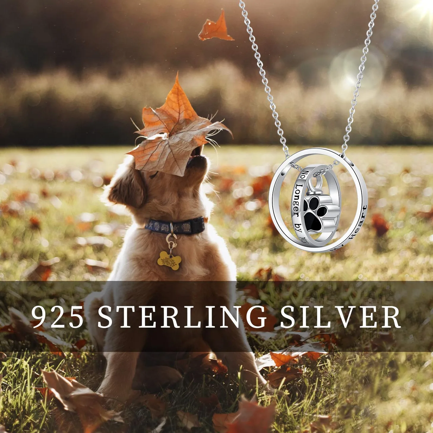Collana con urna per ceneri in argento Sterling 925, con stampa di margherita/zampa di cane, ciondolo commemorativo per cremazione, gioiello per donne e amiche