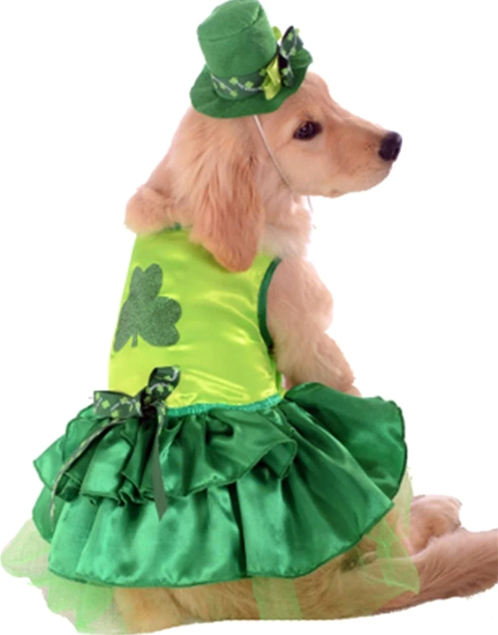 Rubie's - Costume per animali domestici, taglia piccola, irlandese