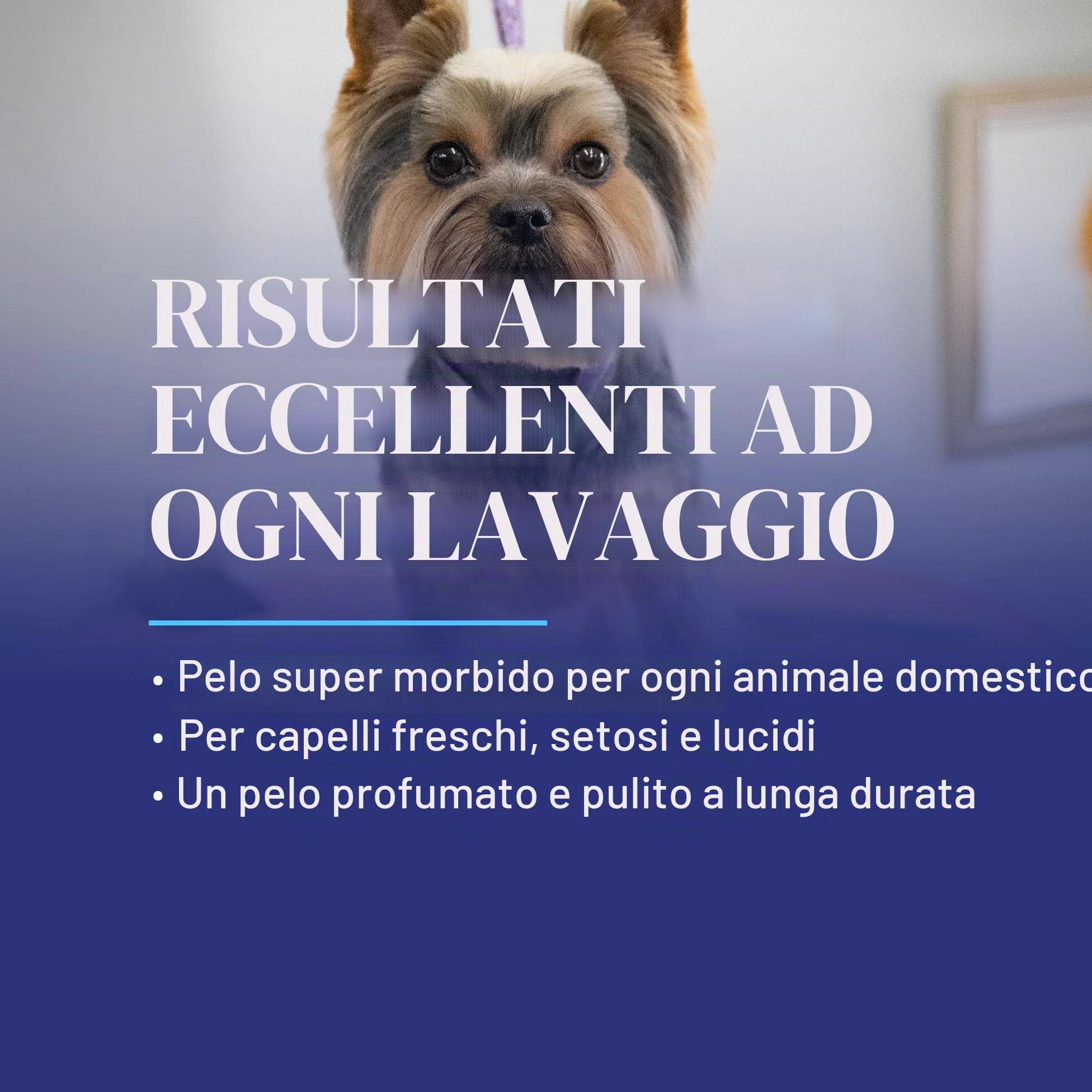 Chris Christensen Smartwash 50 Shampoo Cherry & Oats 3,8L – Ultra Concentrato 50:1, Detergente Idratante con Ciliegia e Avena, per Tutti i Tipi di Manto, Uso Professionale Cani e Gatti