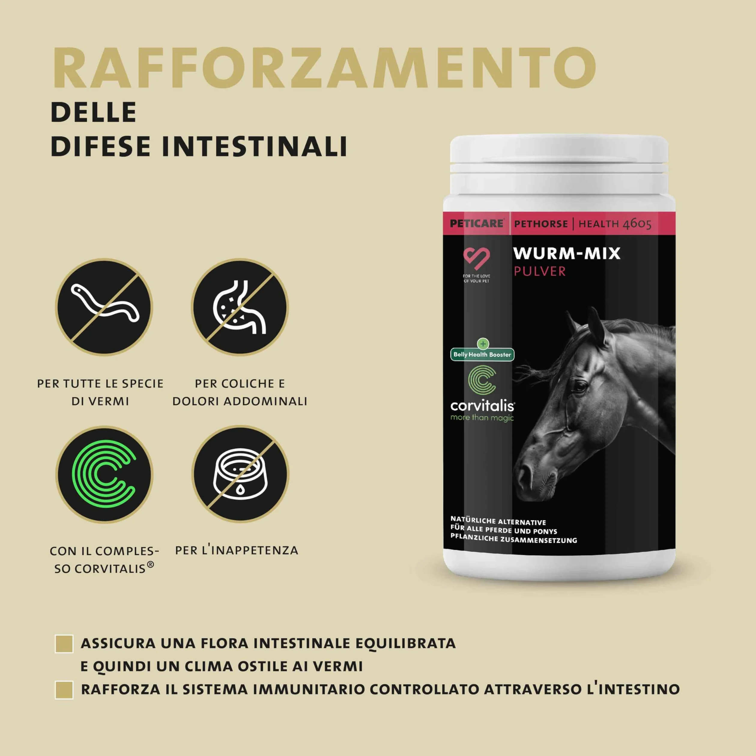 Peticare Polvere Flora Intestinale ed Erbe Cavalli – Supporto Naturale per l'Ambiente Intestinale – Con Semi di Zucca e Assenzio – Integratore per Cavalli