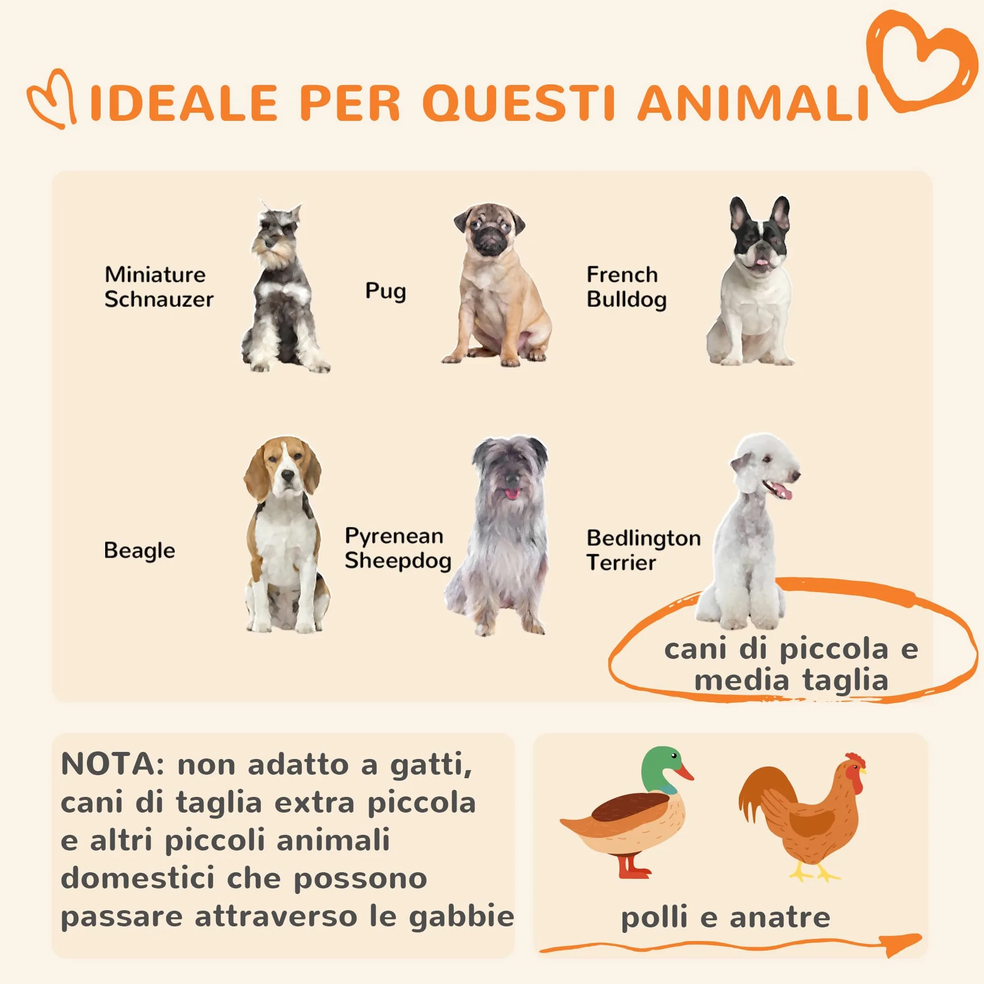 PawHut Recinto per Cani Taglia Piccola e Media, Kennel Casetta per Cani e Galline con Tettuccio, 122x122x138cm