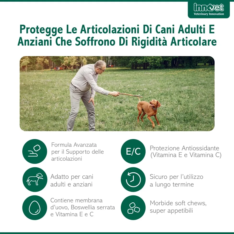 Innovet Condrostress Mobility per Cani Adulti e Anziani Che Soffrono di rigidità articolare – 60 Soft Chews – Supporta Il metabolismo cartilagineo e la Mobilità