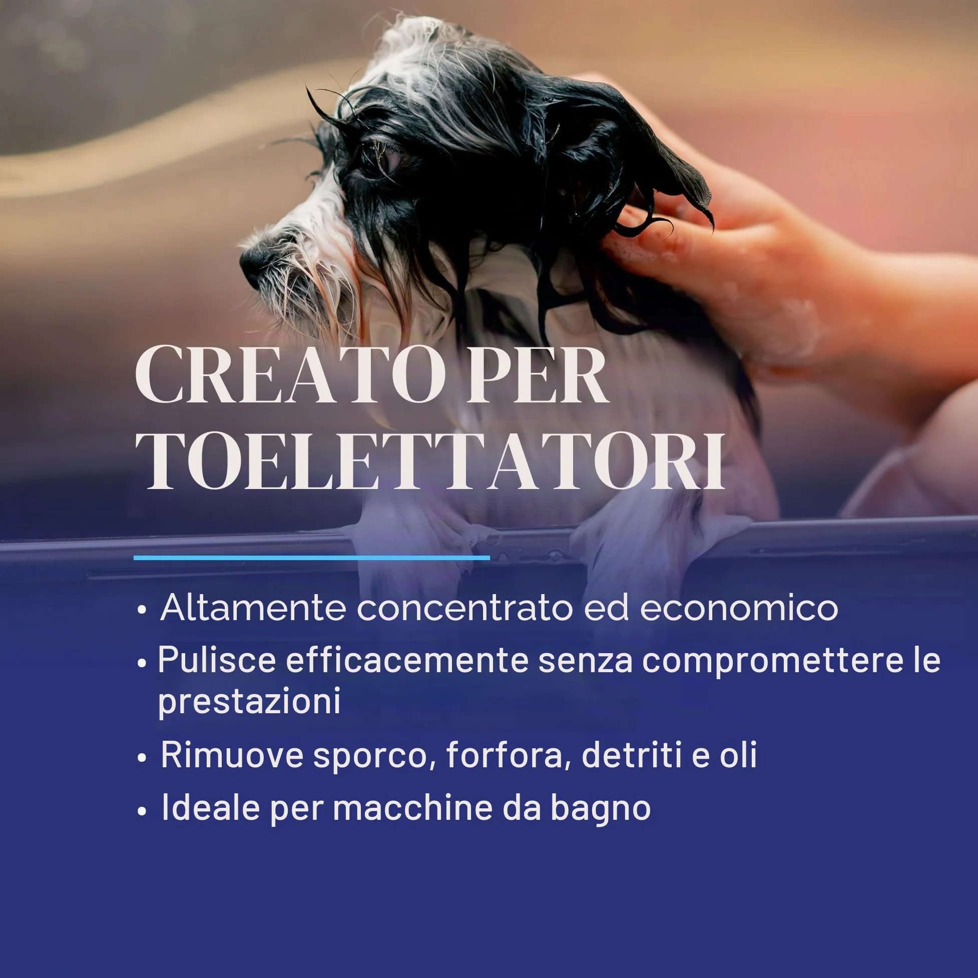 Chris Christensen Smartwash 50 Shampoo Cherry & Oats 3,8L – Ultra Concentrato 50:1, Detergente Idratante con Ciliegia e Avena, per Tutti i Tipi di Manto, Uso Professionale Cani e Gatti
