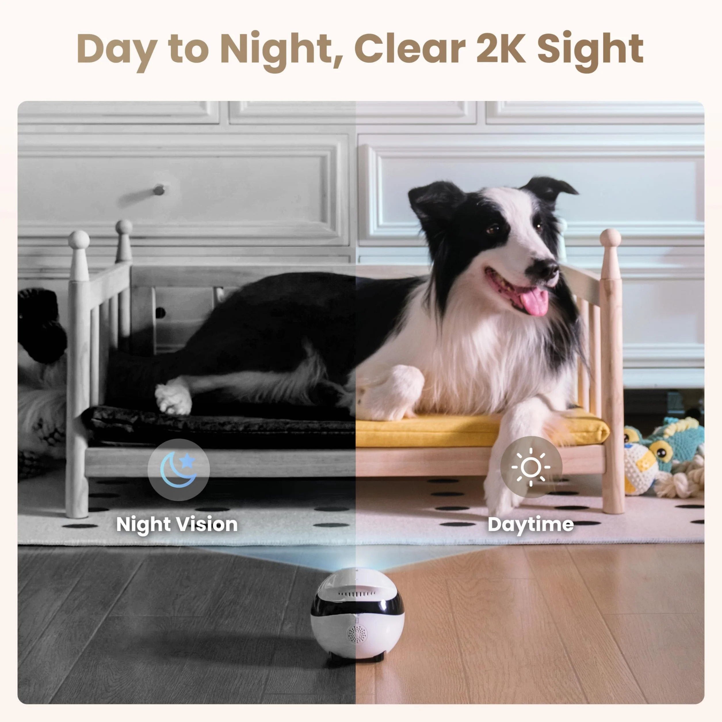 Enabot EBO Air 2 FamilyBot, telecamera per animali domestici con app, fotocamera mobile 2 K con espressioni facciali personalizzabili, telecamera per gatti senza fili con visione notturna, fotocamera