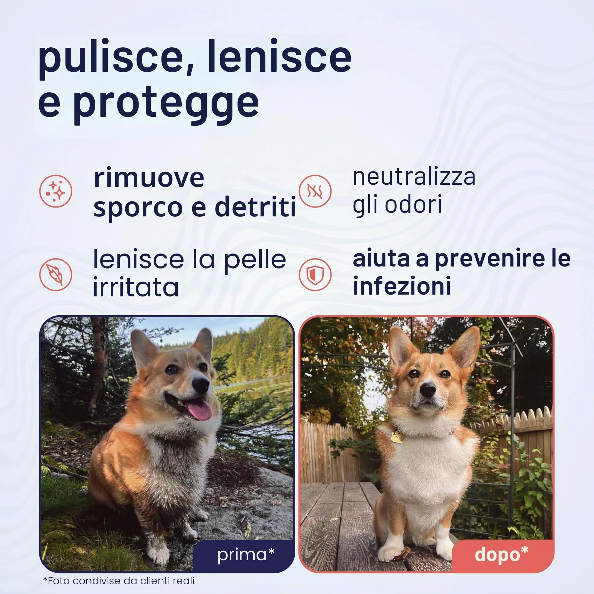 Petpost | Salviette per la Pulizia dei Cani - Salviette Grandi e Deodoranti al Profumo di Fiori di Ciliegio - 70 Tamponi in Cotone Ultra Morbido con Soluzione Detergente (Fiori di Ciliegio)