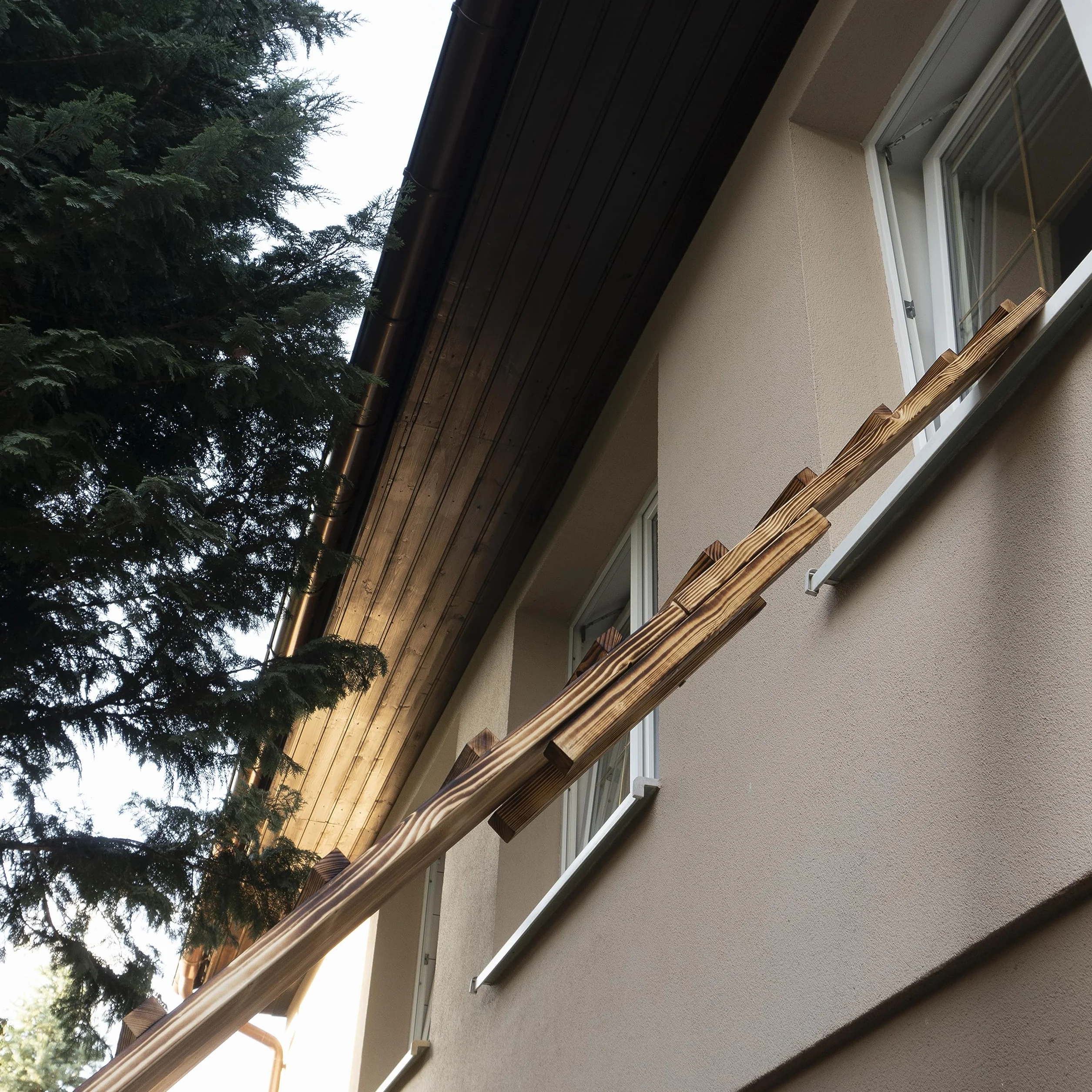 Scala per gatti fiammata gradino per gatti per balcone da 1 m a 6 m con morsetti (lunghezza 3 m)