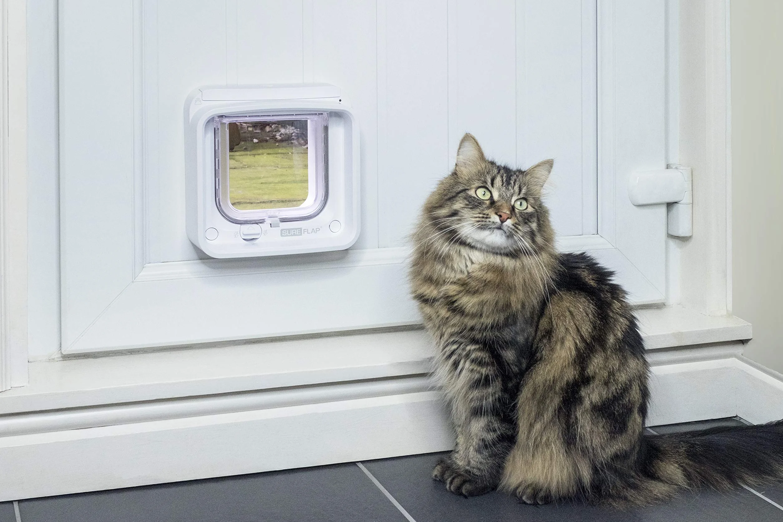 Gattaiola con lettore di microchip Connect SureFlap Sure Petcare, tecnologia DualScan, compatibile con App mobile, colore Bianco, richiede Hub e 4 batterie AA (non incl.)