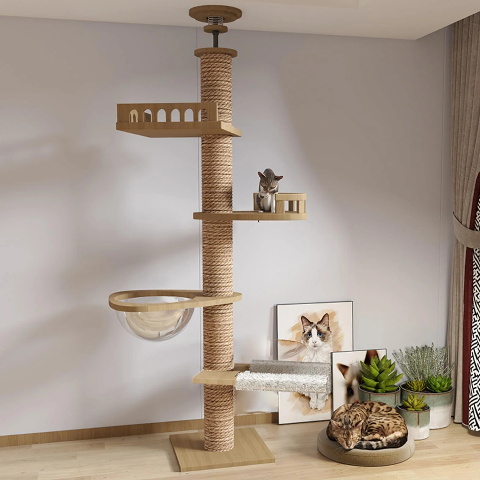 Md Tiragraffi a soffitto, capsula per stanza, amaca per gatti, completamente avvolta in corda di sisal, larghezza di 11 cm, altezza del soffitto (240~250 cm, 265 – 275 cm T04)