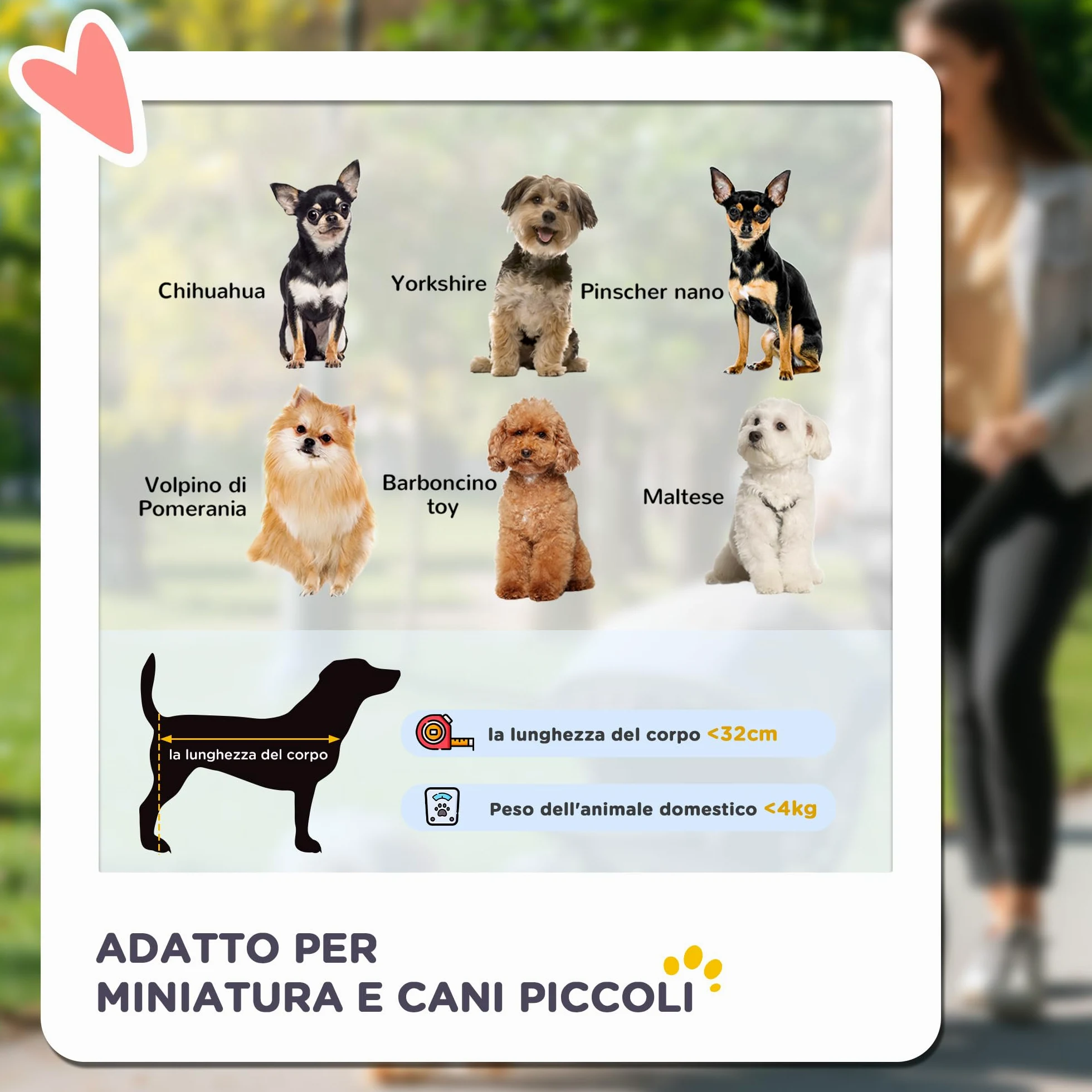 PawHut Passeggino per Cani Piccoli Pieghevole, Passeggino Leggero per Animali con Ruote Girevoli, Guinzaglio di Sicurezza e Cestino Portaoggetti, 67x45x96cm, Grigio