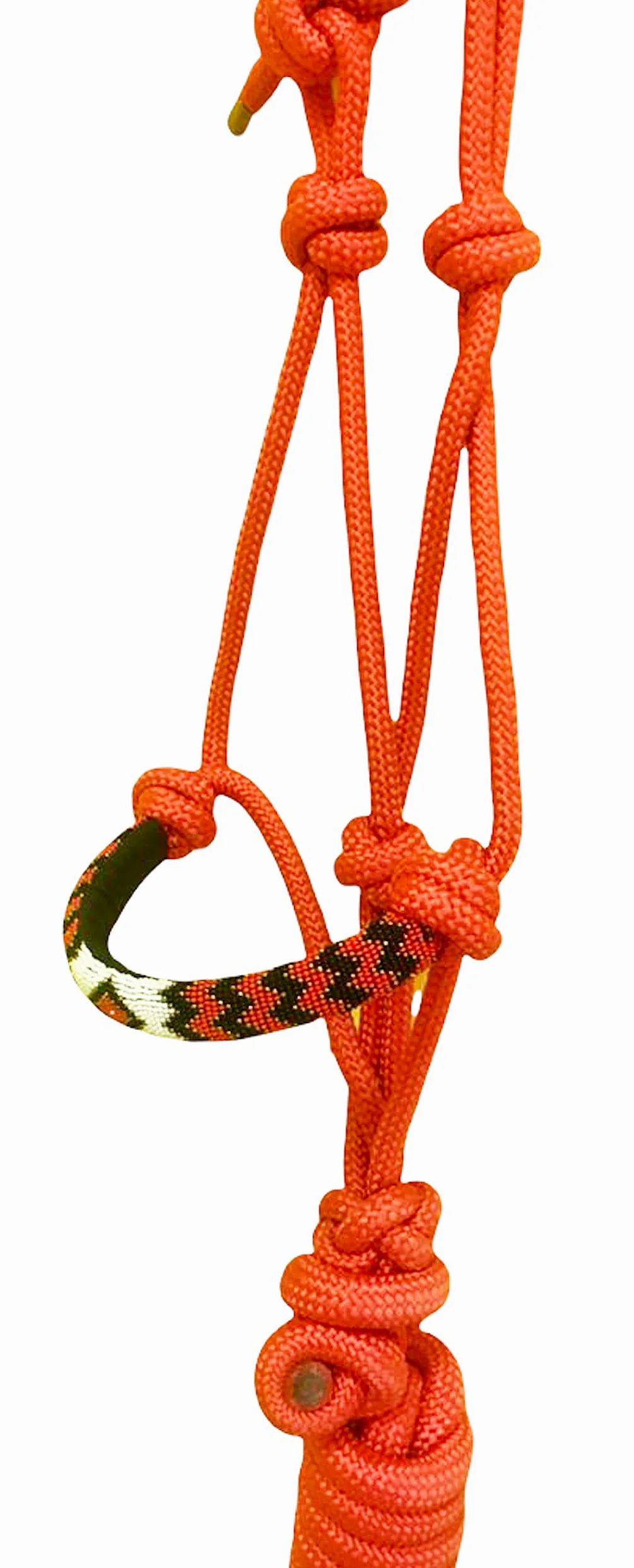 Majestic Ally Capezza imbottita in corda intrecciata con perline e guinzaglio abbinato da 25,4 m (rosso)