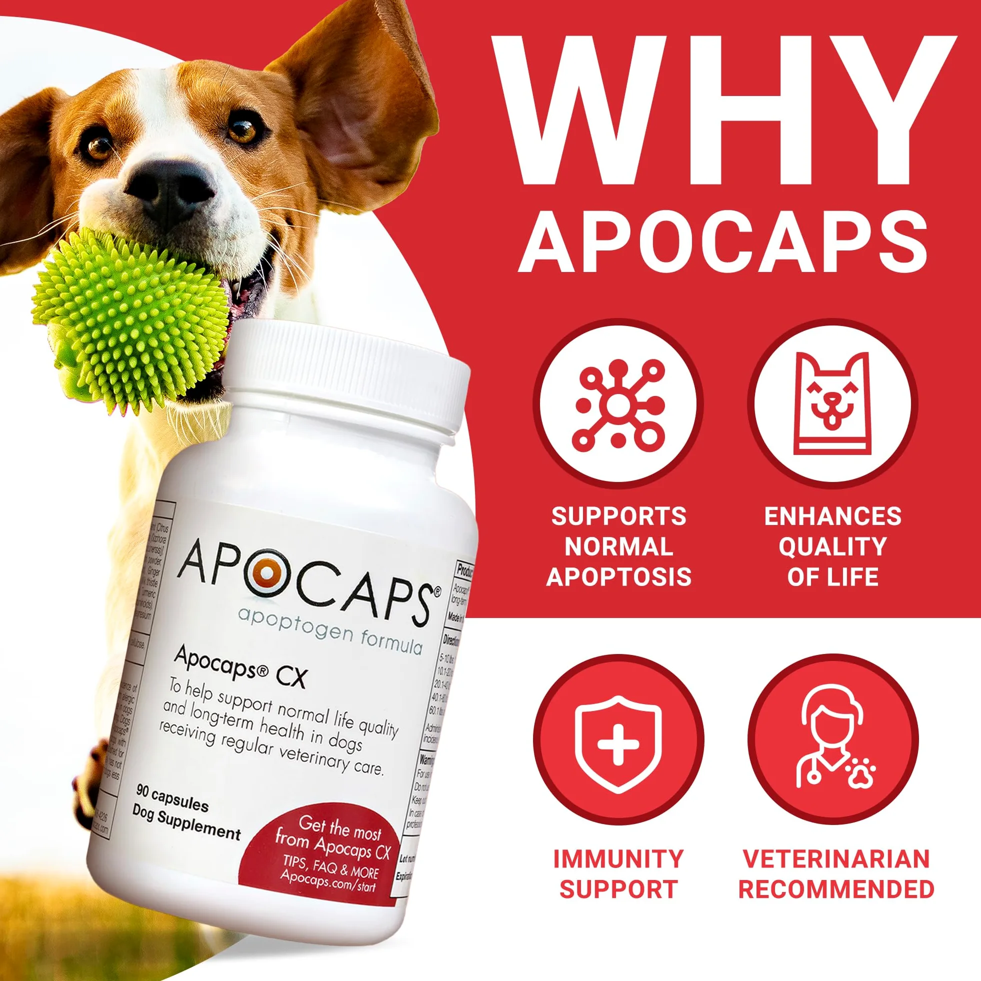 Apocaps CX formula con apoptogeni per cani (90 capsule) – sostiene i normali livelli di apoptosi + ingredienti di grado umano, tra cui bioflavonoidi agrumari, silimarina, curcumina e curcuma