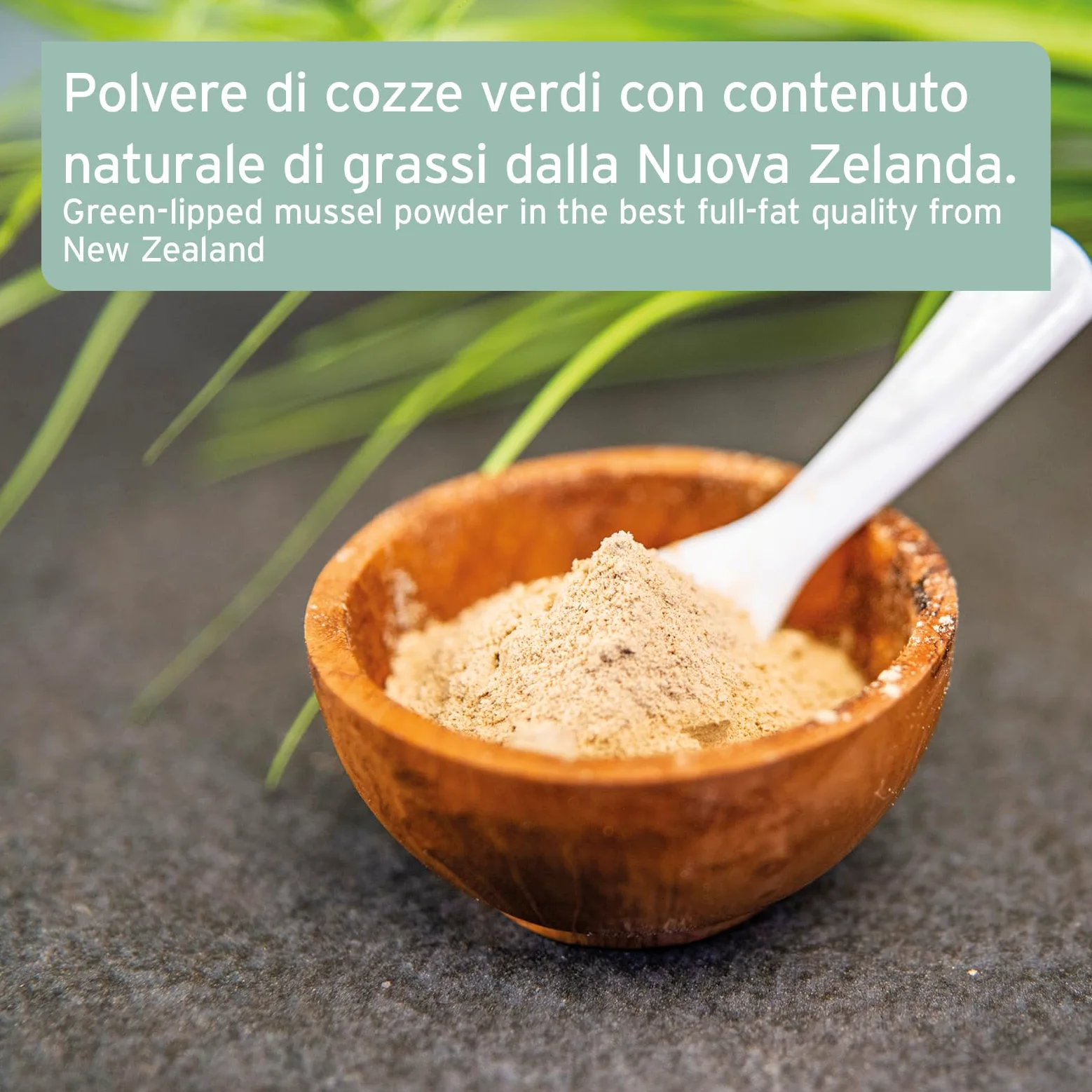 AniForte Polvere di cozze dalle Labbra Verdi per Cani e Gatti 250g – Integratori naturali in qualità di Grasso Completo, glicosaminoglicani, supporta le funzioni articolari