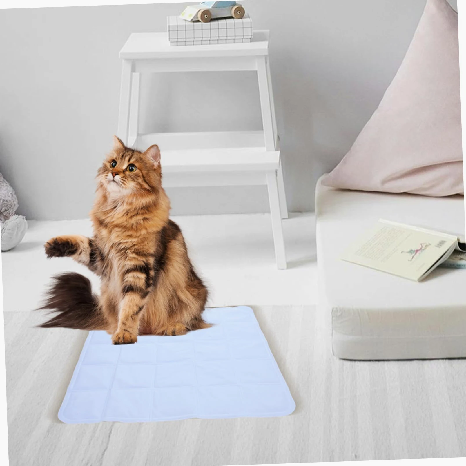 Tappetino Rinfrescante per Cane Autorefrescante Pvc Leggero | Festa Estiva, per Gatto e Cane, Facile da Spostare, Pratico e Confortevole, Uso in Estate e Caldo