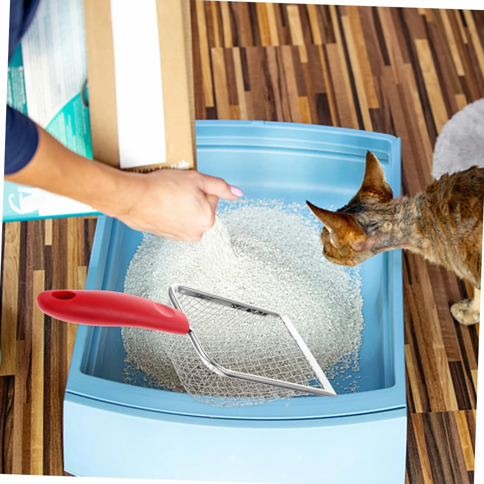 Paletta Lettiera Gatti, Spatola Rettili Uso Domestico(Black)