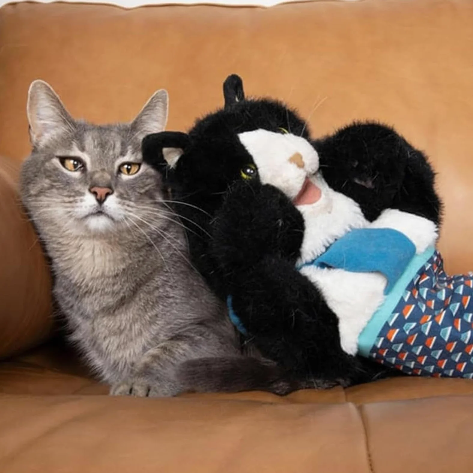 Bambola per gatti wrestling, giocattolo per gatti, guanto, imbottitura stabile, bambola interattiva, imbottitura robusta per giocare in modo sicuro, noia, durevole, regalo per gli amanti dei gatti