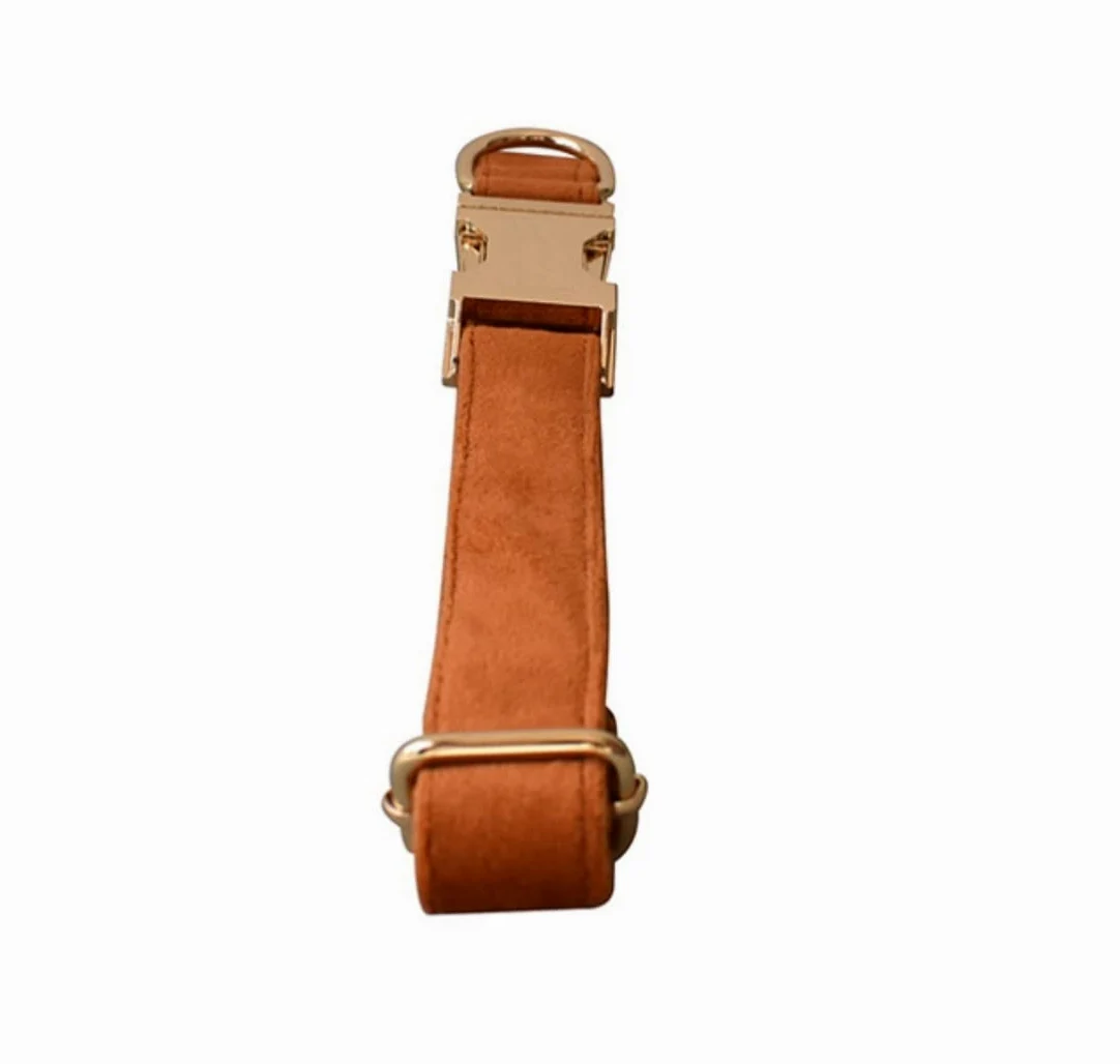 Morbido Guinzaglio Per Cani Guinzaglio Per Cani Con Fibbia In Oro Collare Collo Per Animali Domestici Set Di Sicurezza In Lega Per L'allenamento Quotidiano All'aperto Antiscivolo Flexi(27-41cm)