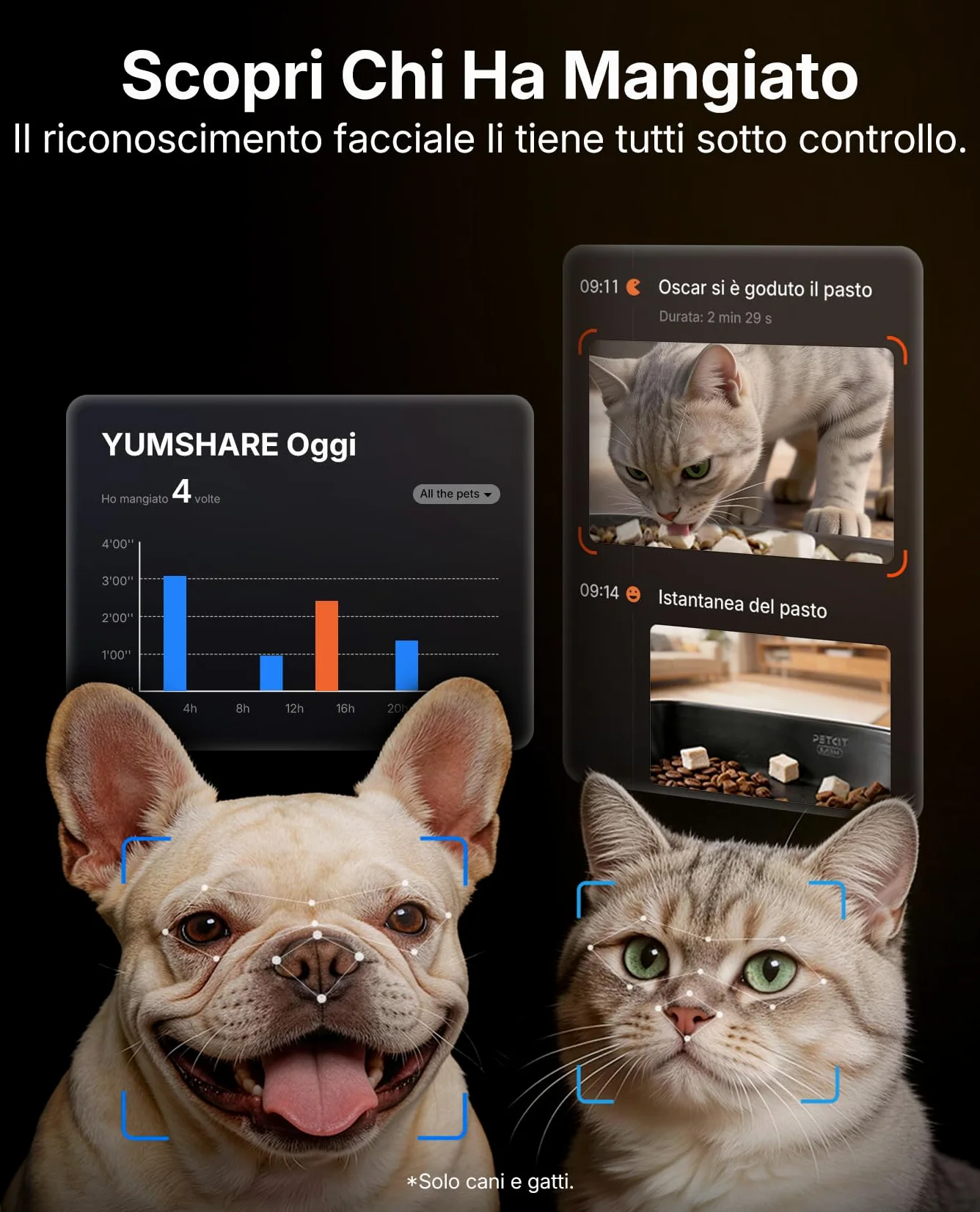 PETKIT YumShare Dual-Hopper 2, Distributore Automatico di Cibo per Gatti e Cani con Telecamera HD 1080p, Riconoscimento Multiplo Gatti, Funzioni AI, Capacità 5L, Wi-Fi 2.4 GHz e 5 GHz