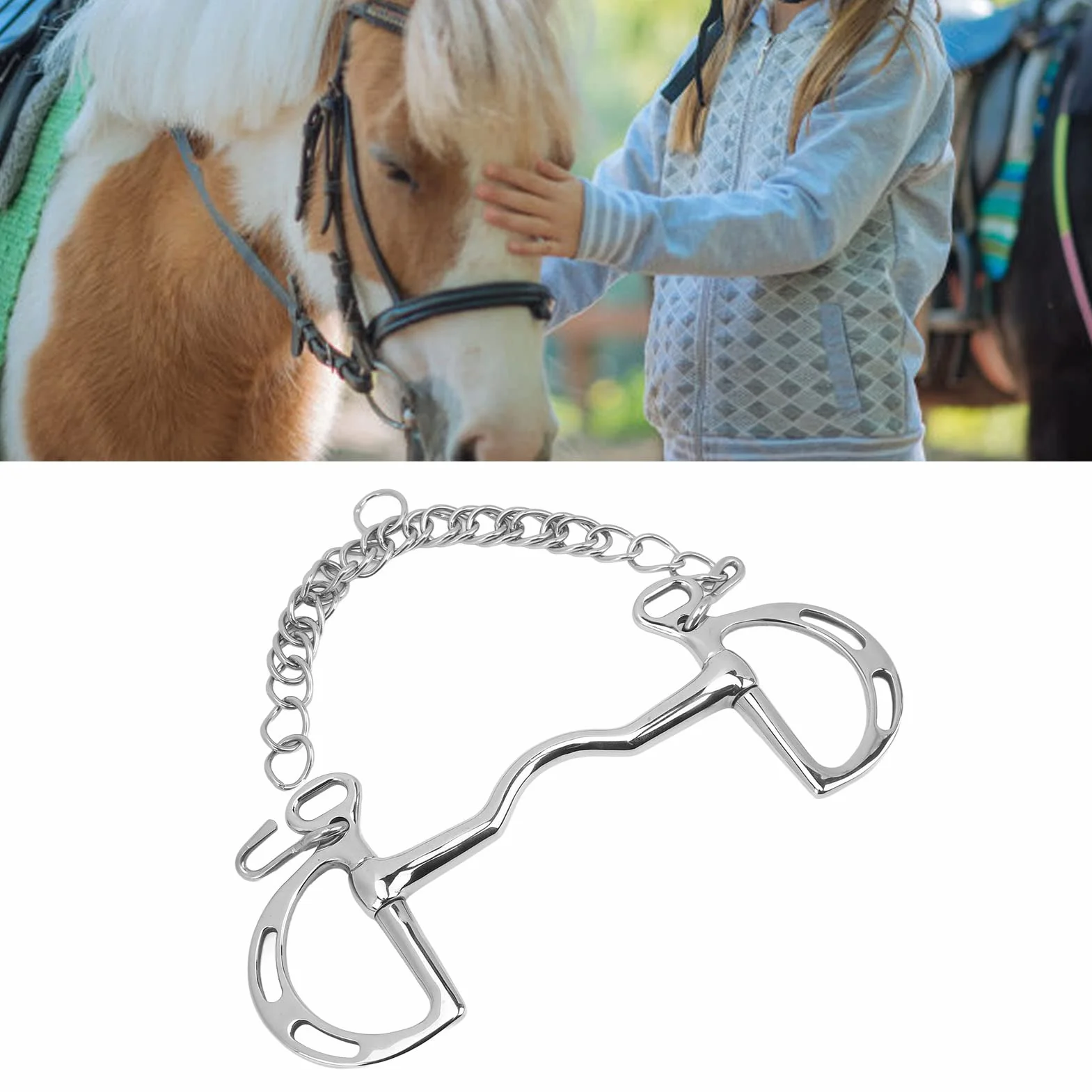 BestAlice Filetto per Cavallo, Morso per Cavallo in Acciaio Inossidabile Filetto per Cavallo da Masticare, Anello a D Filetto per Cavallo in Acciaio Inossidabile Filetto per Bocca di Cavallo con Caten