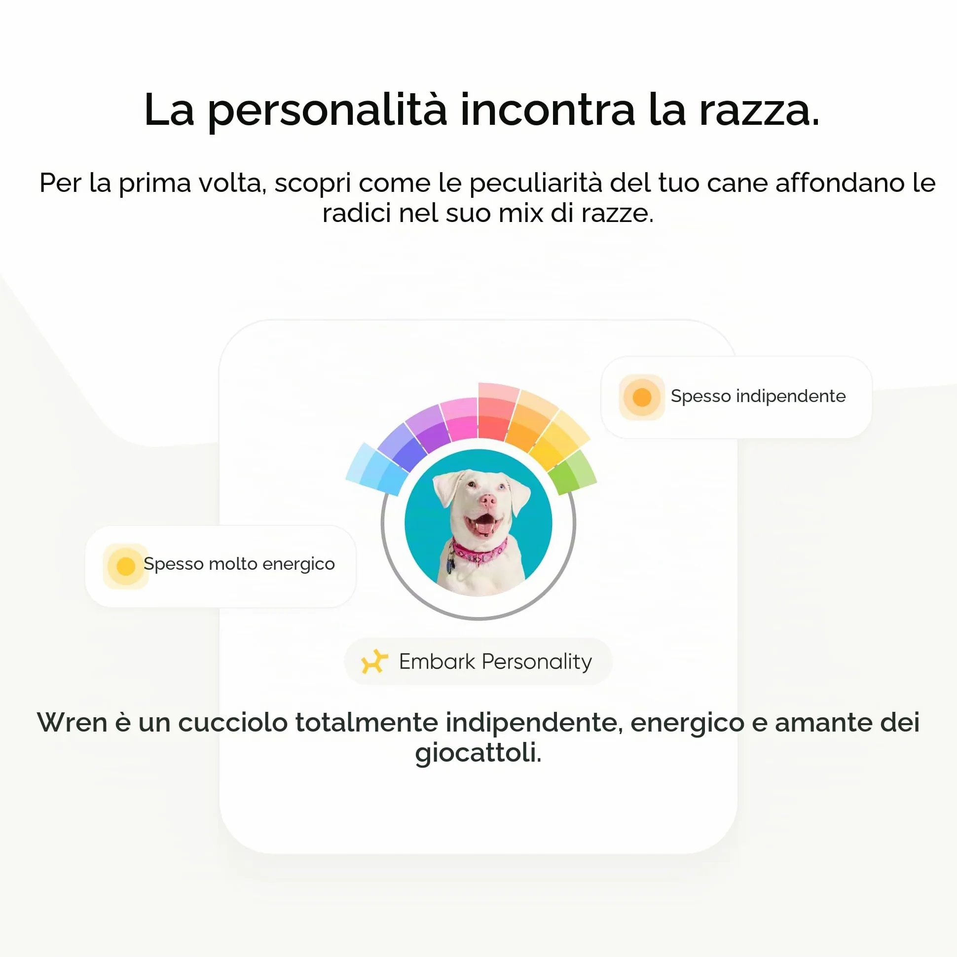 Embark - Test del DNA per cane, kit di identificazione della razza