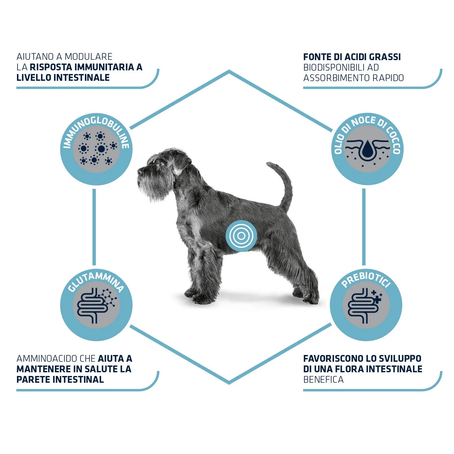 Advance Veterinary Diets - Gastroenteric Sensitive - Cibo per Cani con Problemi Gastrointestinali - 9kg