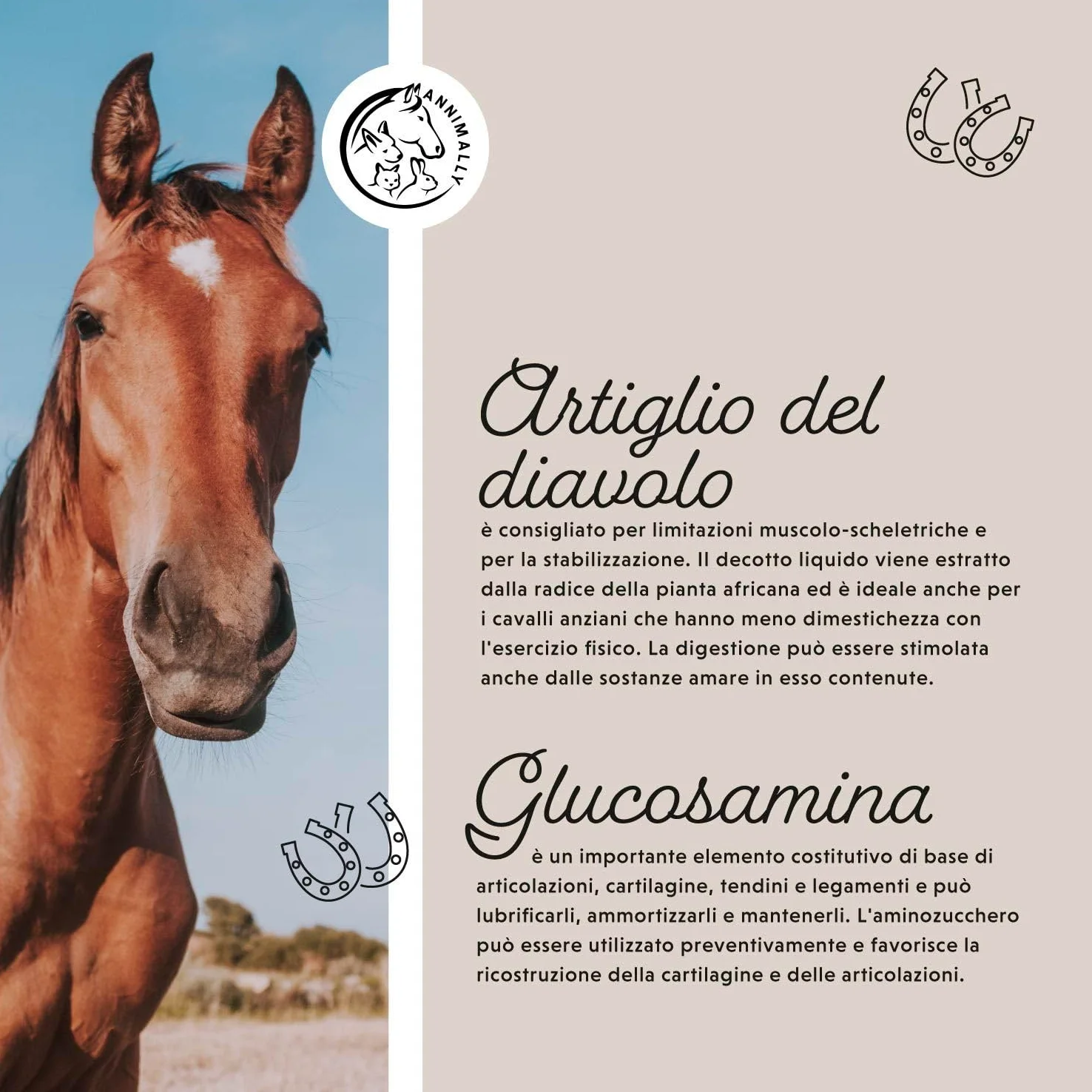 Liquido articolazioni per cavalli 1000ml con artiglio del diavolo cavallo, glucosamina e MSM cavallo (zolfo) liquido- Per il rafforzamento delle articolazioni del cavallo- msm integratore per cavalli