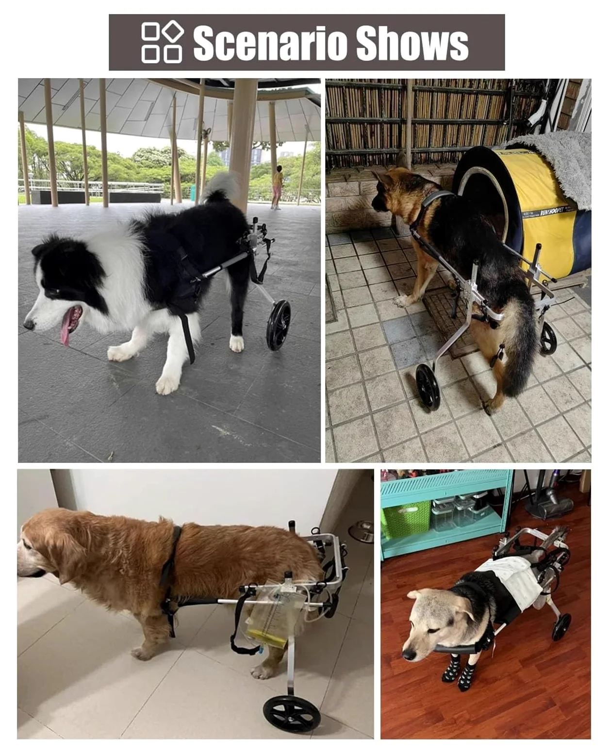 Carrello Cani Disabili, Sedia a rotelle per Cani, Deambulatore assistito a 2 Ruote for Arti Posteriori paralizzati, Carrello for la Mobilità in Alluminio(Size XXXL)