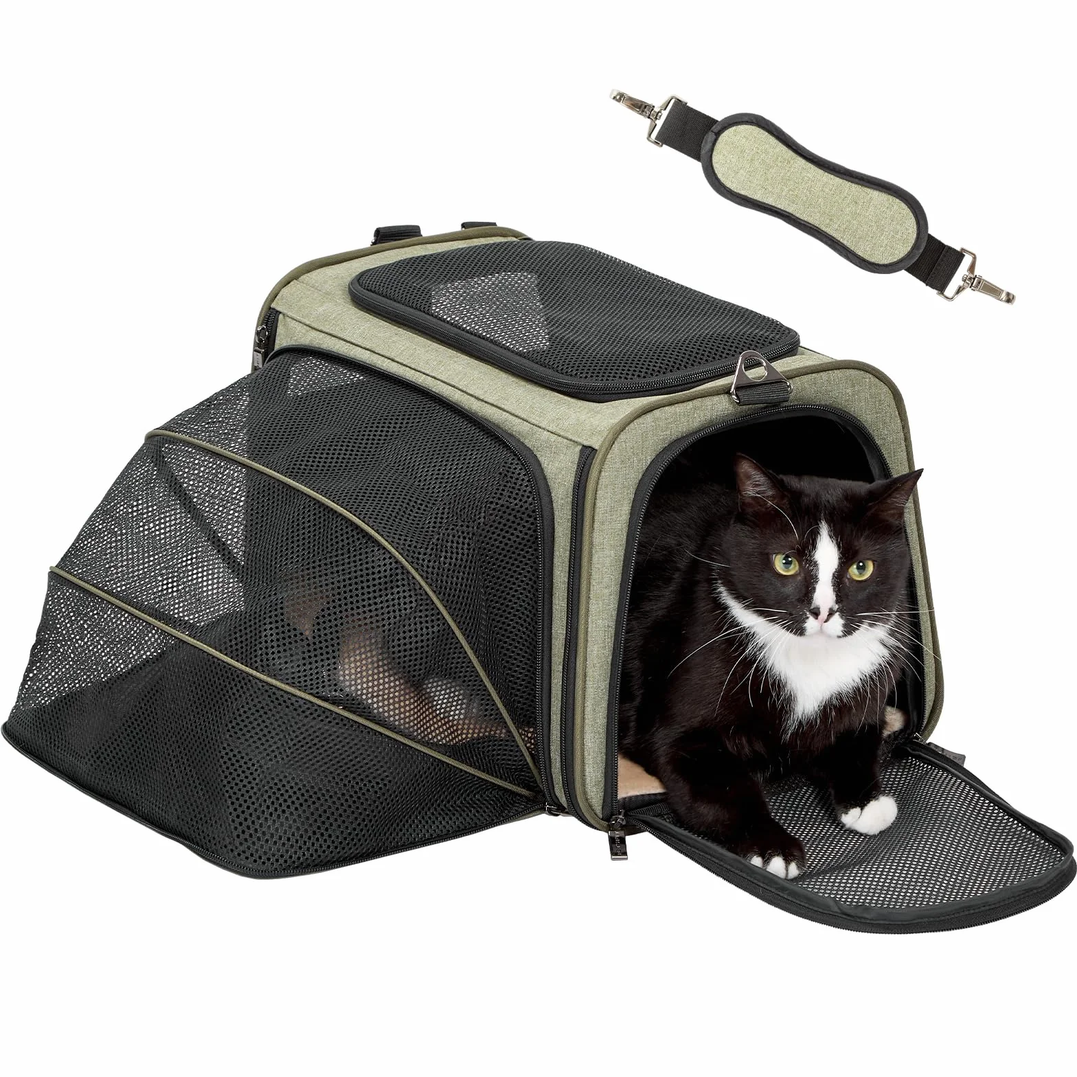 Petsfit Trasportino per gatti, espandibile, comodo trasportino pieghevole su due lati con tappetino in pile, trasportino per cani aperto nella parte superiore, verde, 1 lato espandibile