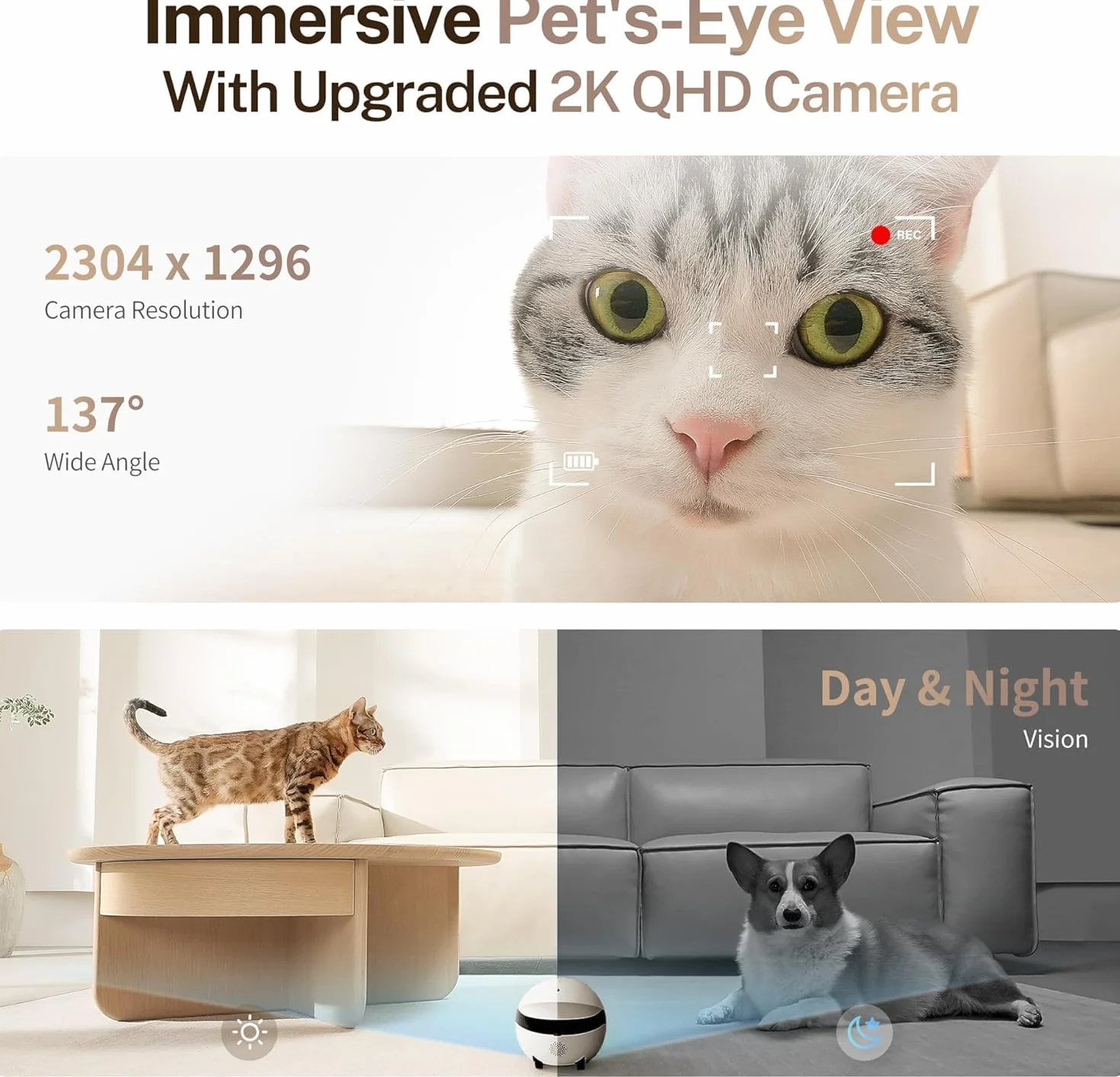 Enabot ROLA - Mini robot divertente per animali domestici